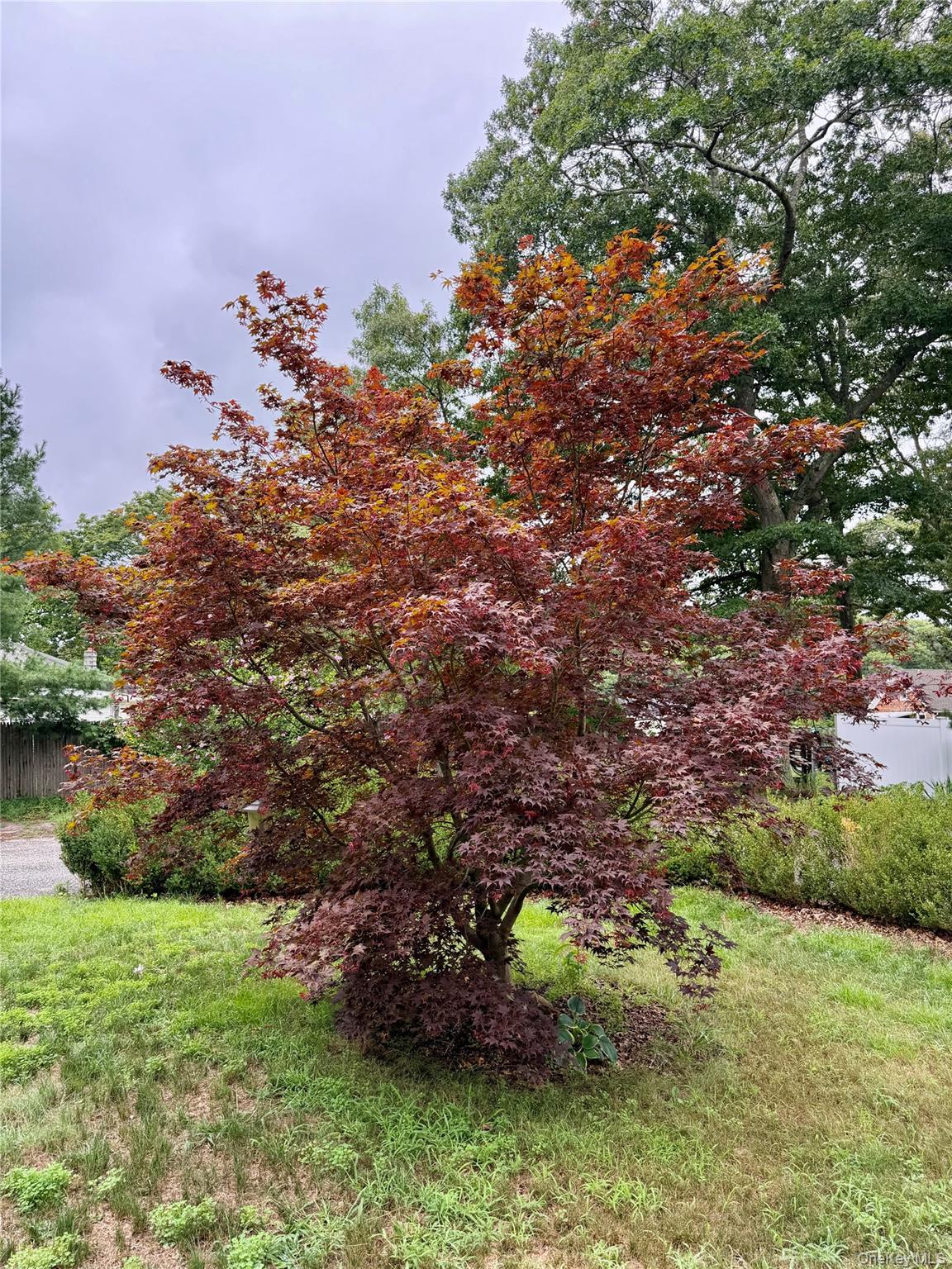 Single Family Flanders Road Suffolk County, NY 11901, MLS-1039943-4