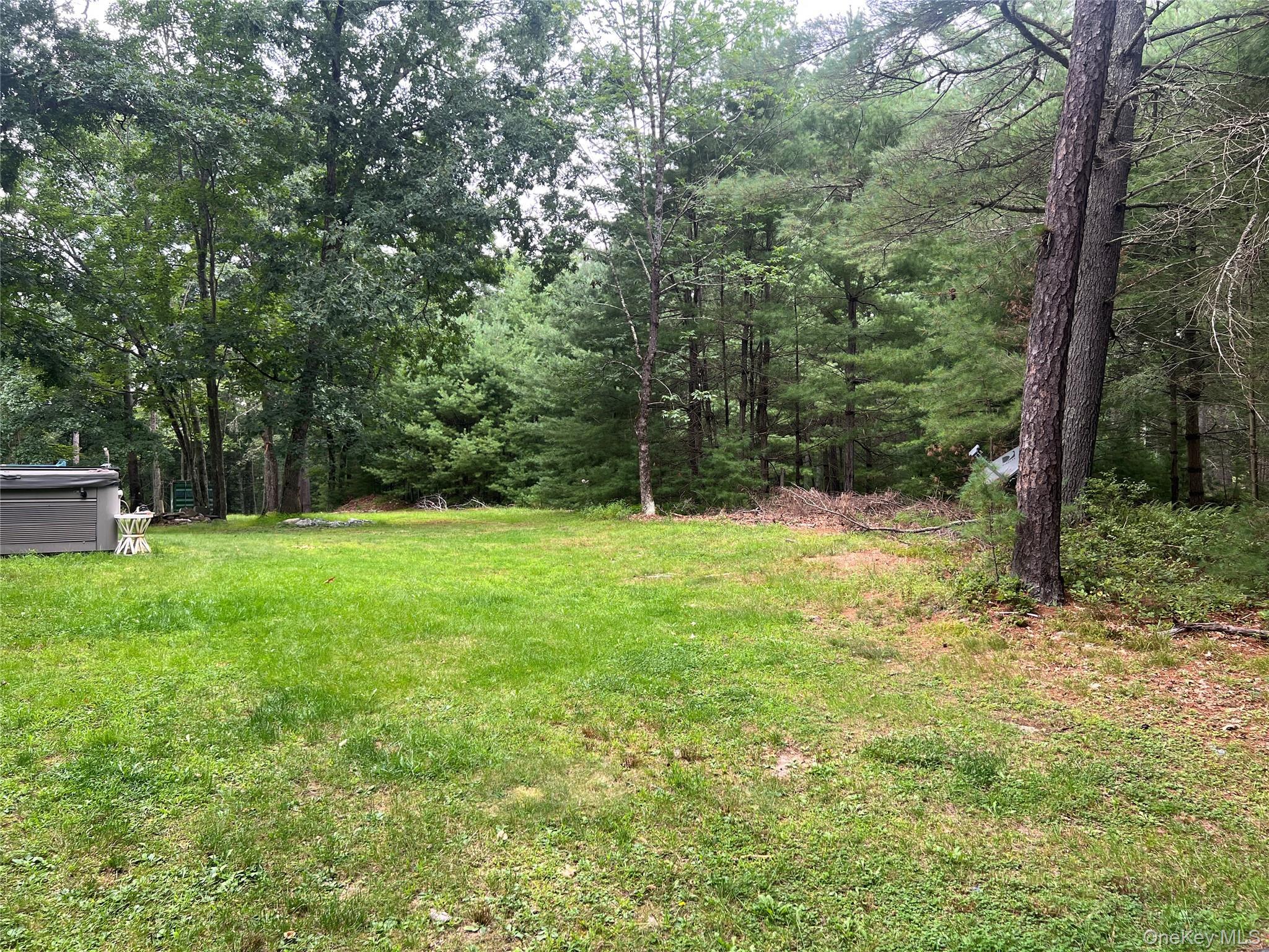 Single Family Frazier Road Sullivan County, NY 12732, MLS-1039956-2