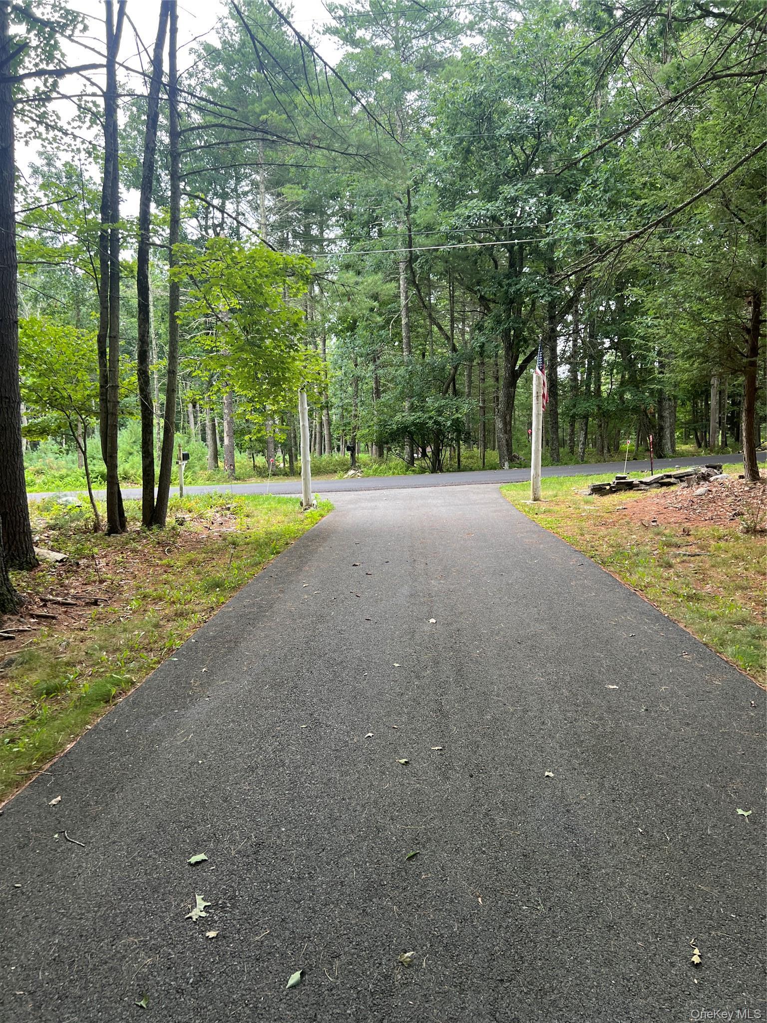 Single Family Frazier Road Sullivan County, NY 12732, MLS-1039956-7