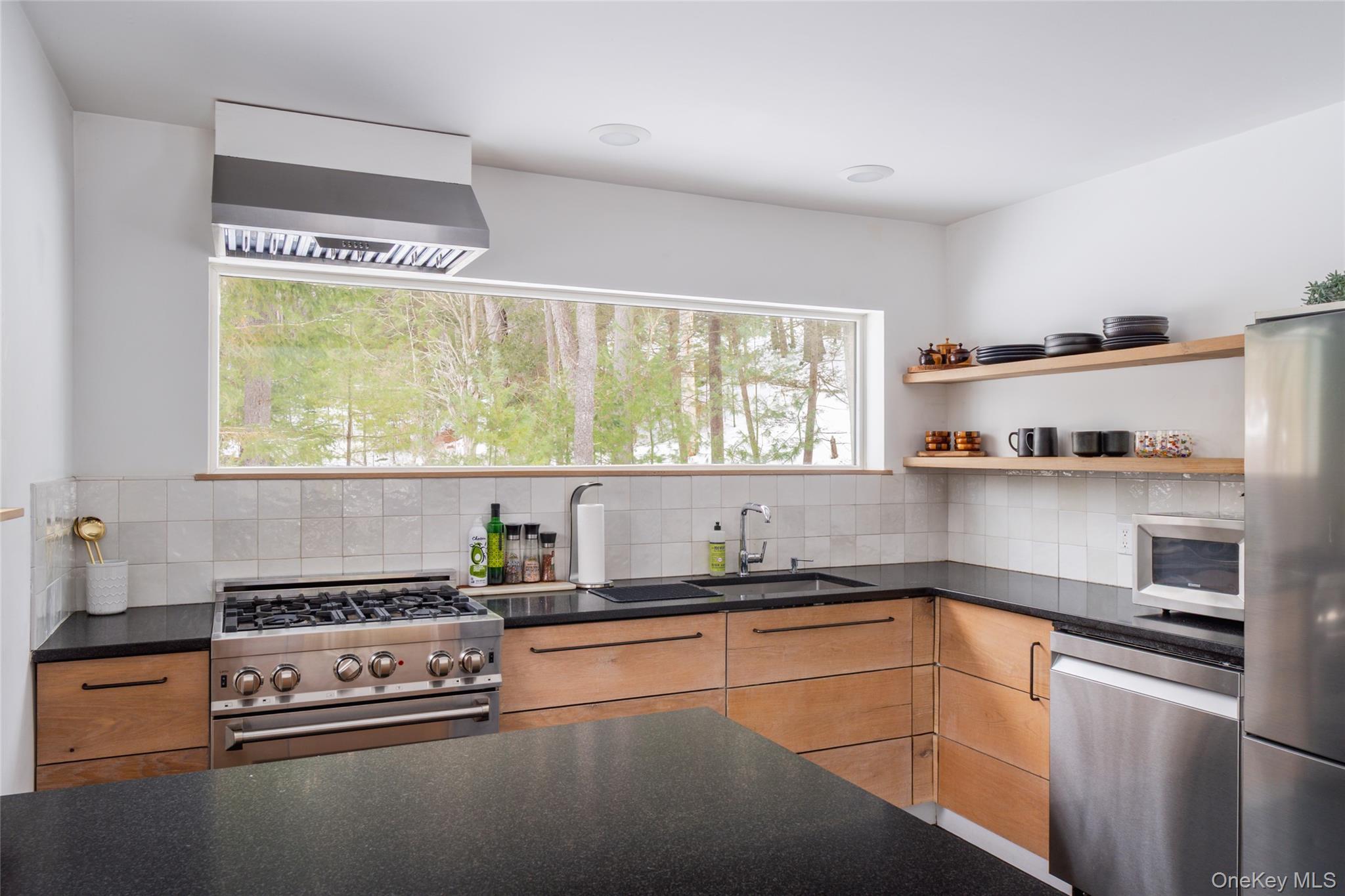 Single Family Lake View Drive Ulster County, NY 12448, MLS-1039964-12