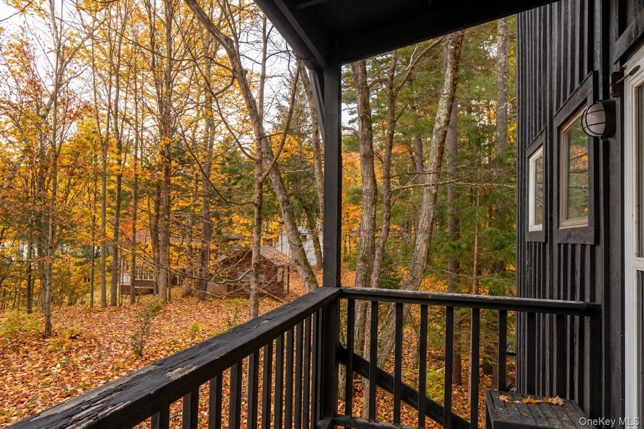 Single Family Lake View Drive Ulster County, NY 12448, MLS-1039964-38