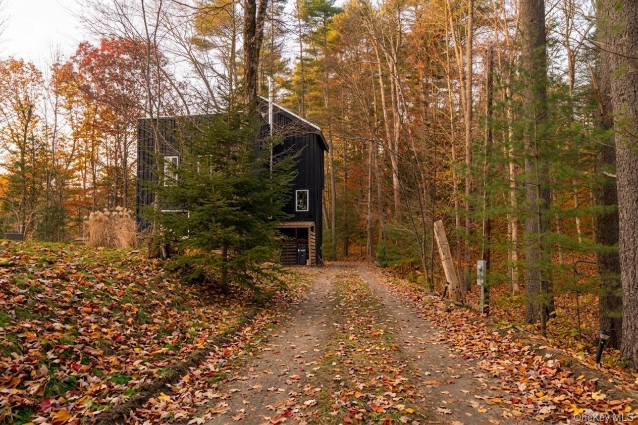 Single Family Lake View Drive Ulster County, NY 12448, MLS-1039964-40