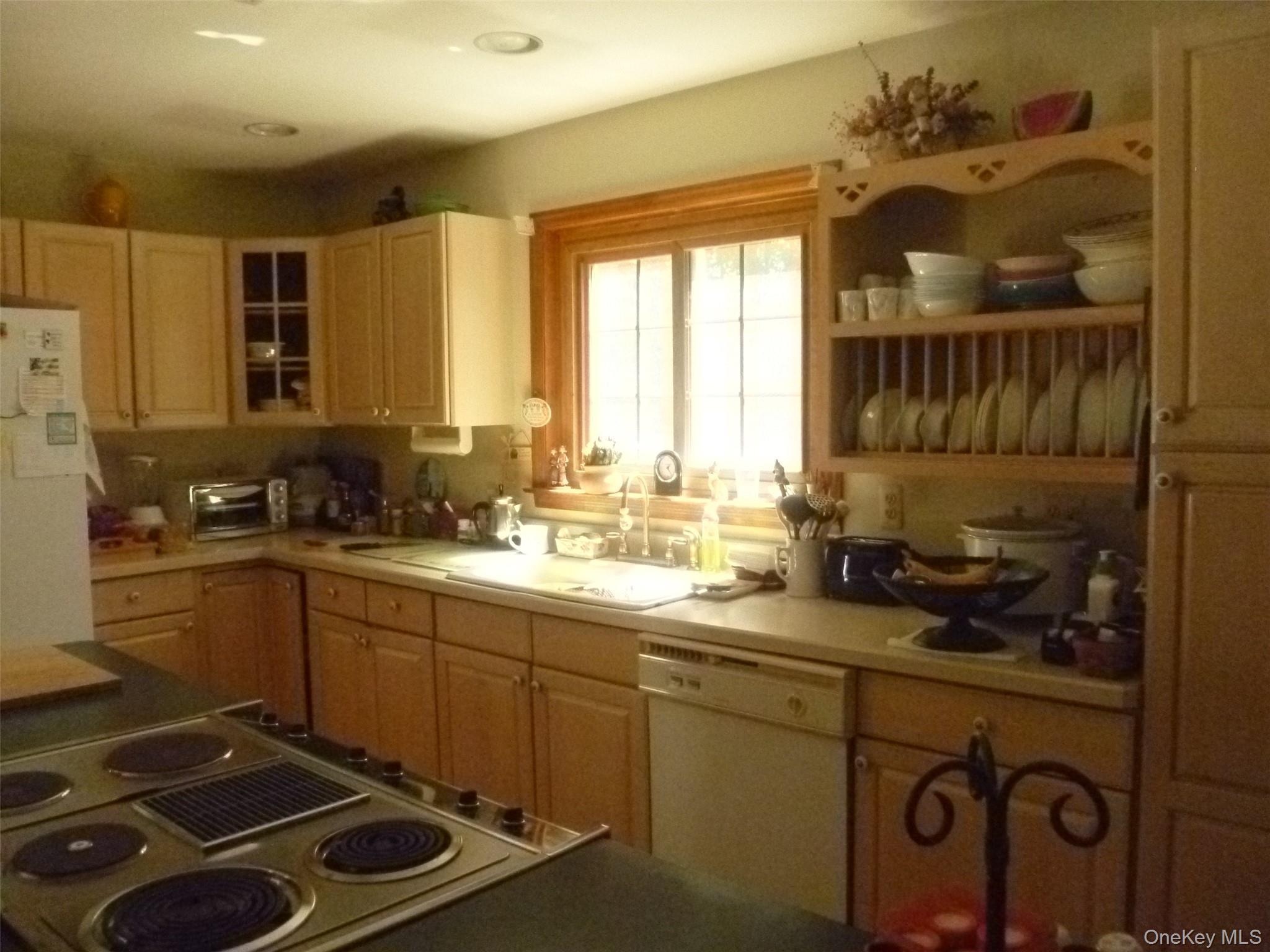 Single Family Frozen Ridge Road Orange County, NY 12550, MLS-1039979-10