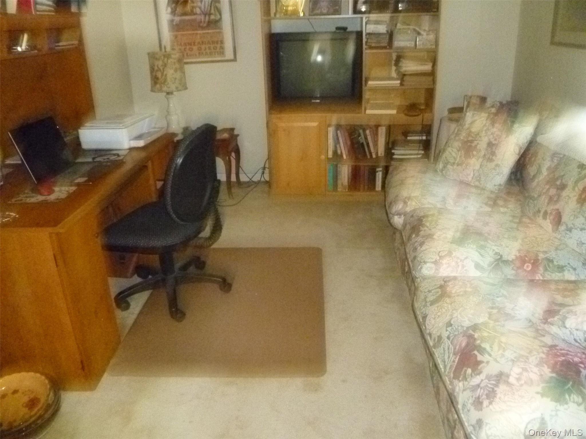 Single Family Frozen Ridge Road Orange County, NY 12550, MLS-1039979-12