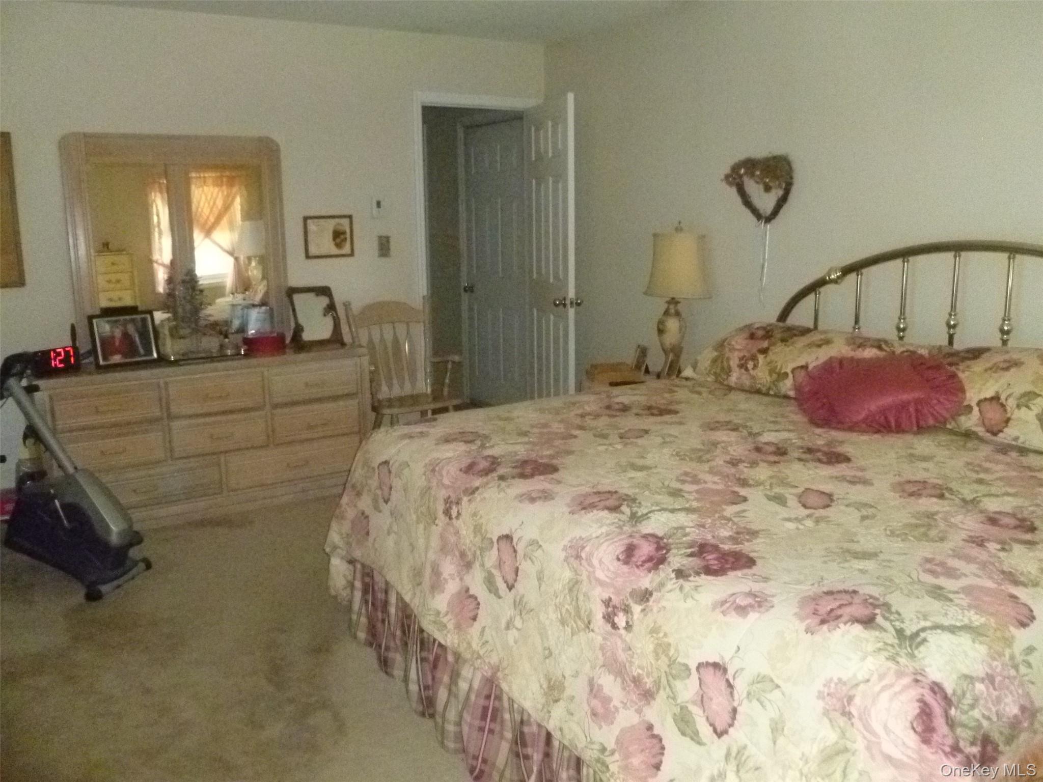 Single Family Frozen Ridge Road Orange County, NY 12550, MLS-1039979-22
