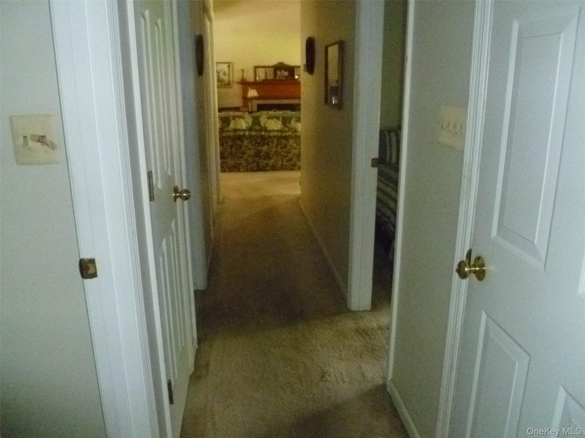 Single Family Frozen Ridge Road Orange County, NY 12550, MLS-1039979-26