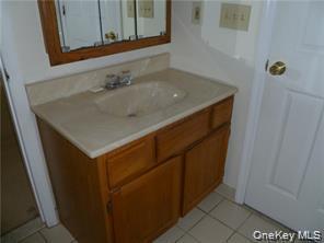 Single Family Frozen Ridge Road  Orange County, NY 12550, MLS-1039979-44