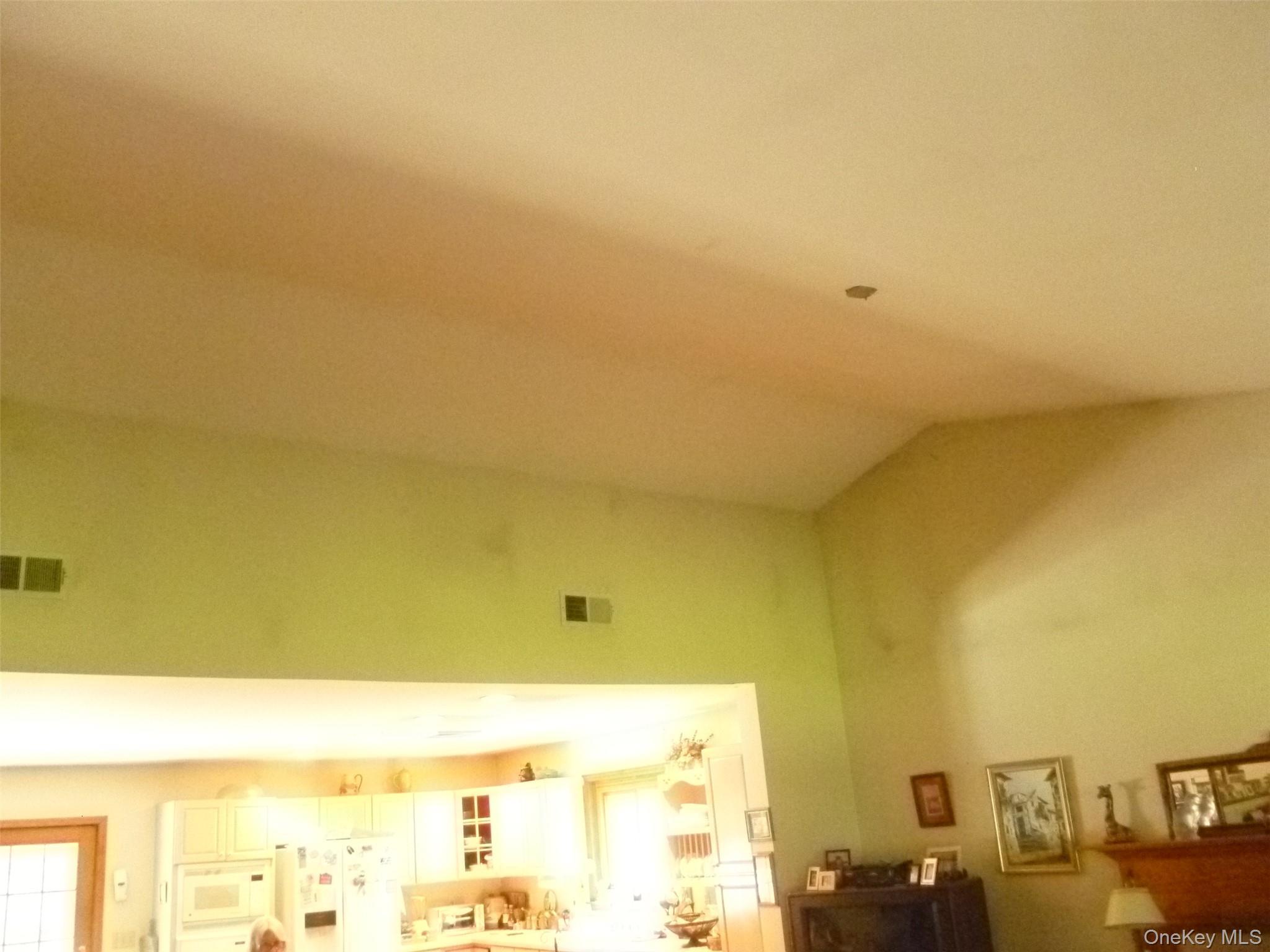Single Family Frozen Ridge Road Orange County, NY 12550, MLS-1039979-6