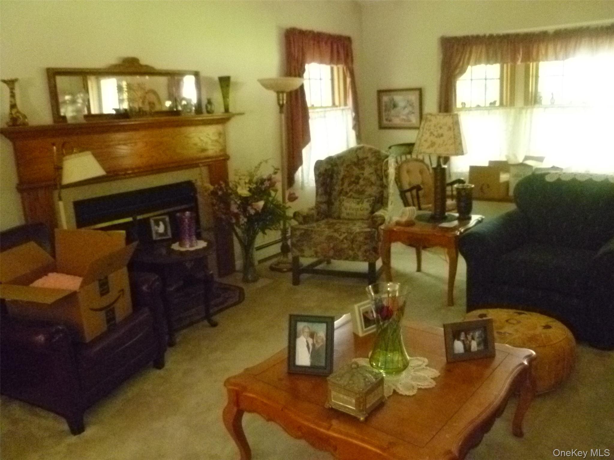 Single Family Frozen Ridge Road Orange County, NY 12550, MLS-1039979-7
