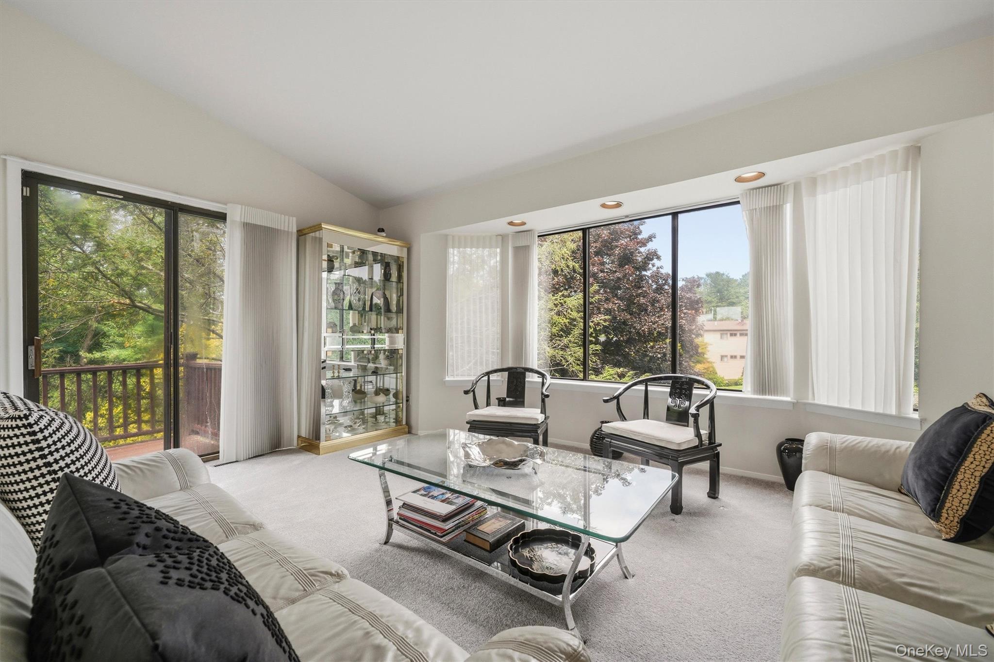 Single Family Skyview Lane Westchester County, NY 10804, MLS-1039982-6