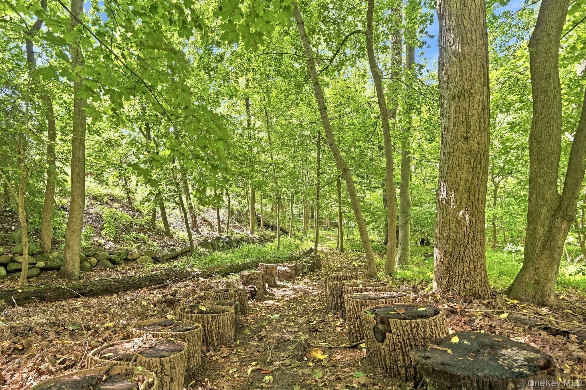 Single Family Scarborough Road  Westchester County, NY 10510, MLS-1039995-35