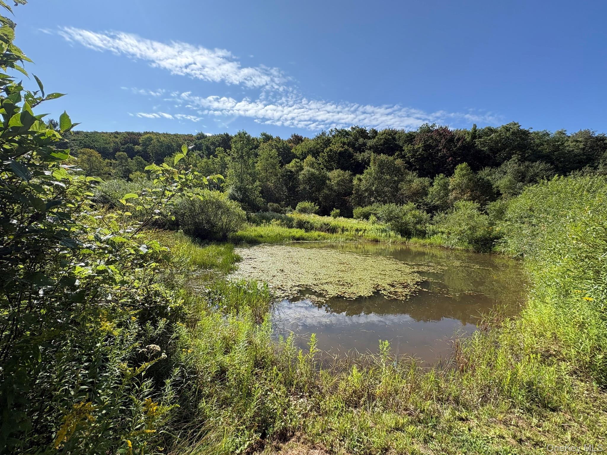 Single Family Campbell Brook Road Delaware County, NY 13755, MLS-1040062-22