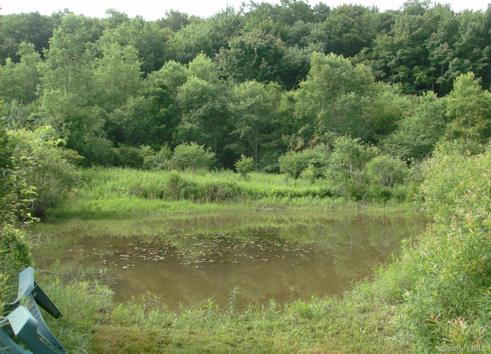 Single Family Campbell Brook Road Delaware County, NY 13755, MLS-1040062-23