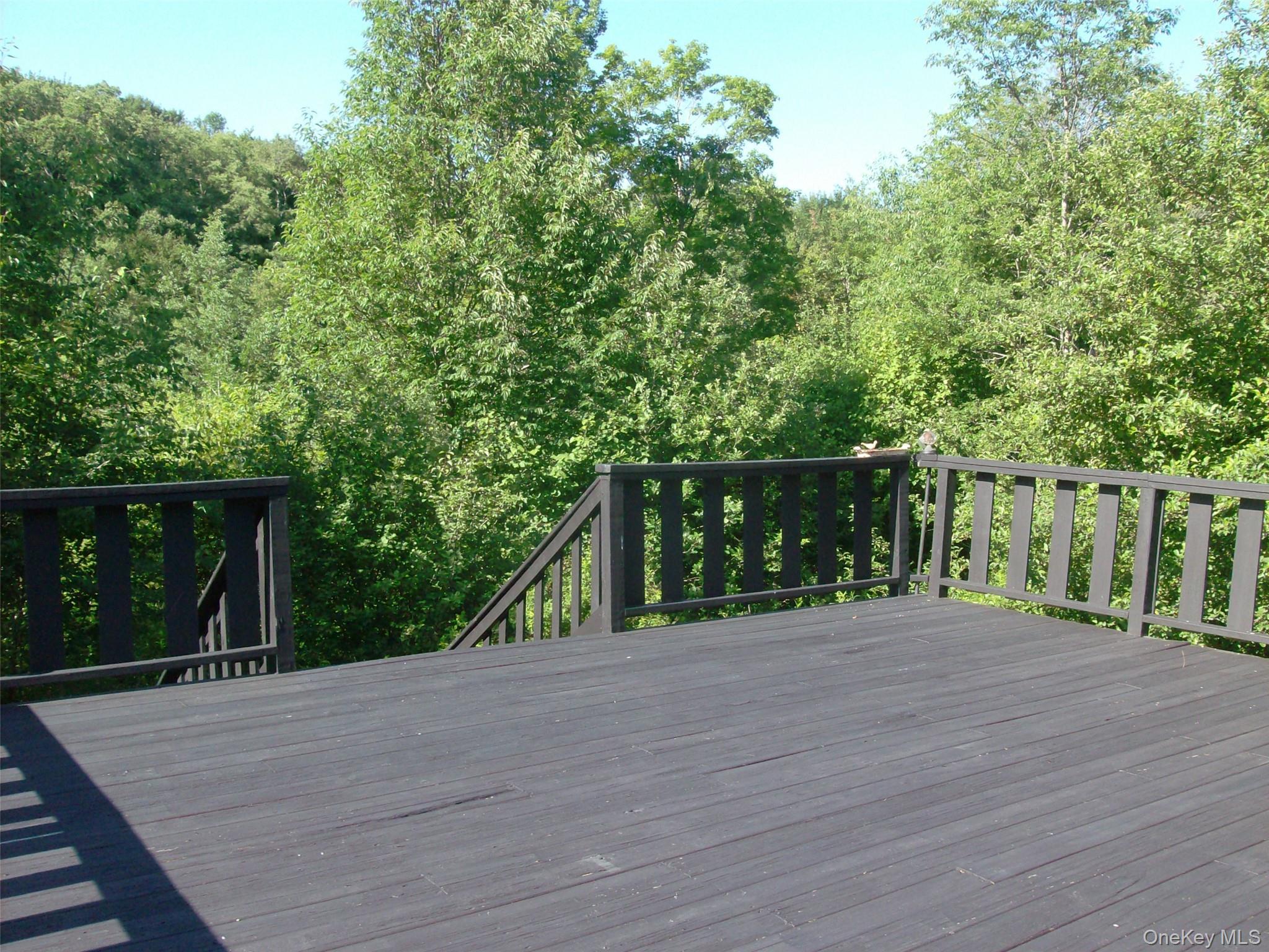 Single Family Campbell Brook Road Delaware County, NY 13755, MLS-1040062-26
