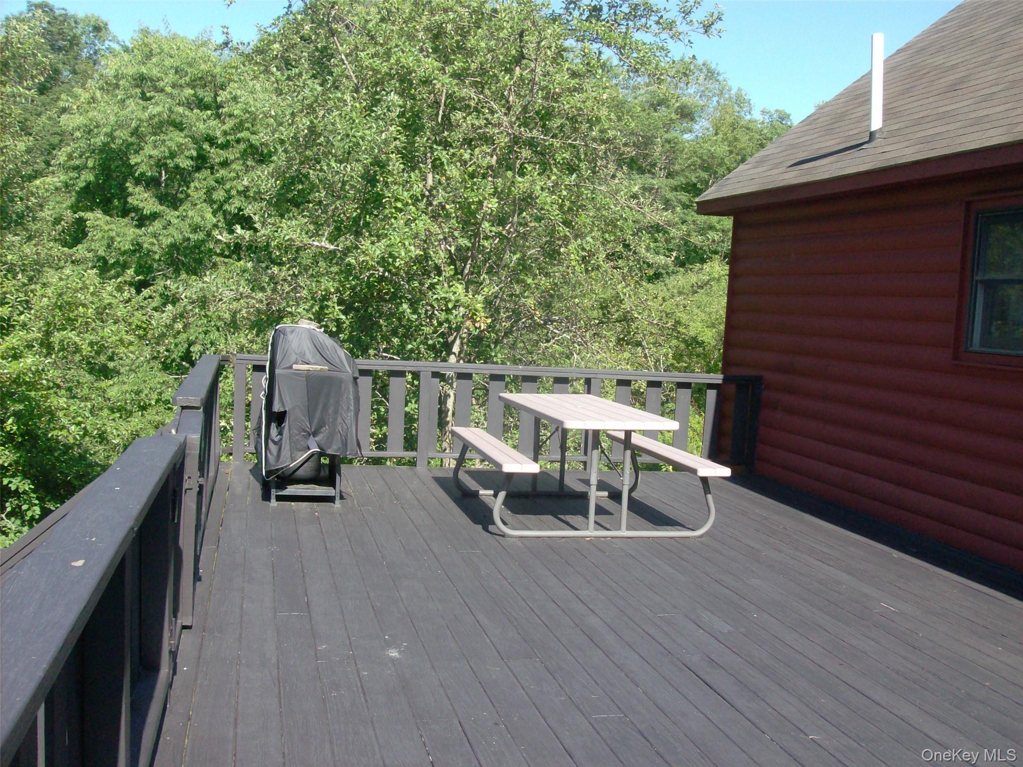 Single Family Campbell Brook Road Delaware County, NY 13755, MLS-1040062-27
