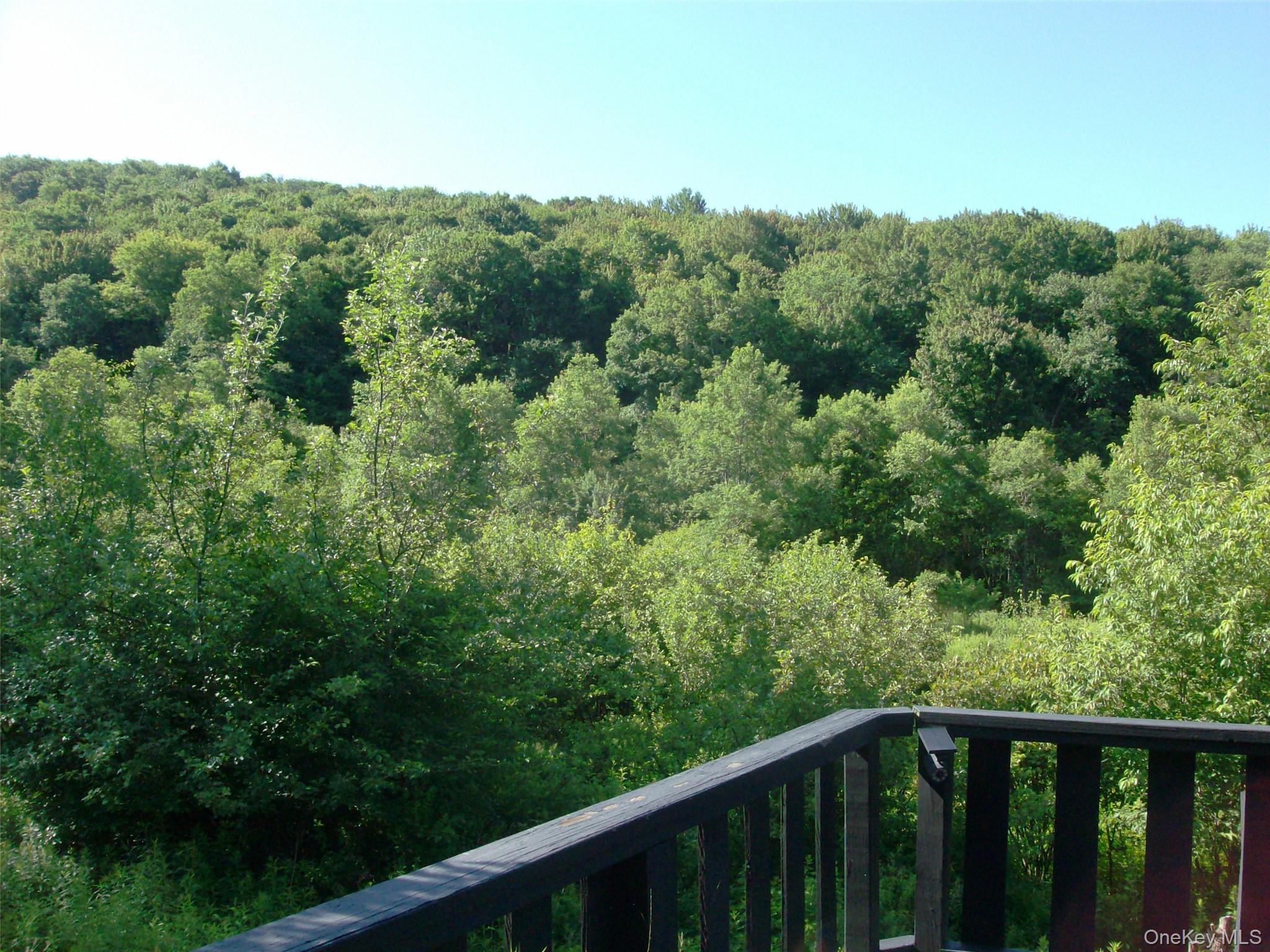 Single Family Campbell Brook Road Delaware County, NY 13755, MLS-1040062-28