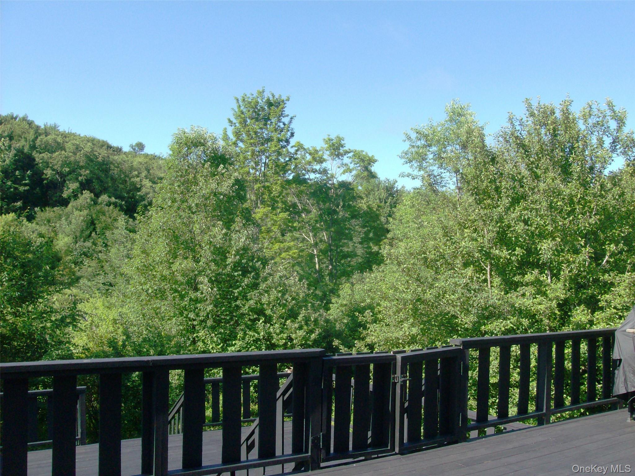 Single Family Campbell Brook Road Delaware County, NY 13755, MLS-1040062-29