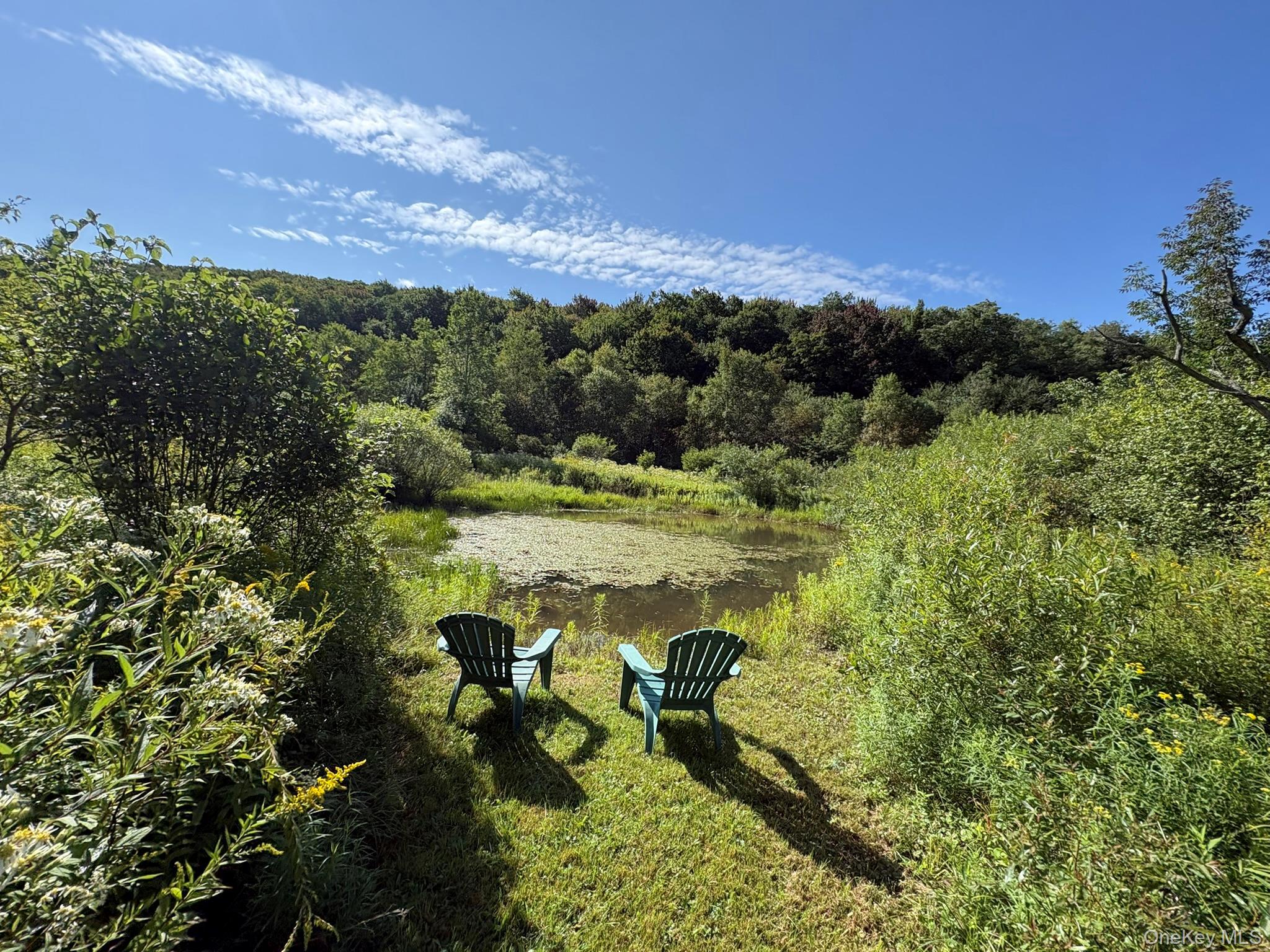 Single Family Campbell Brook Road Delaware County, NY 13755, MLS-1040062-35