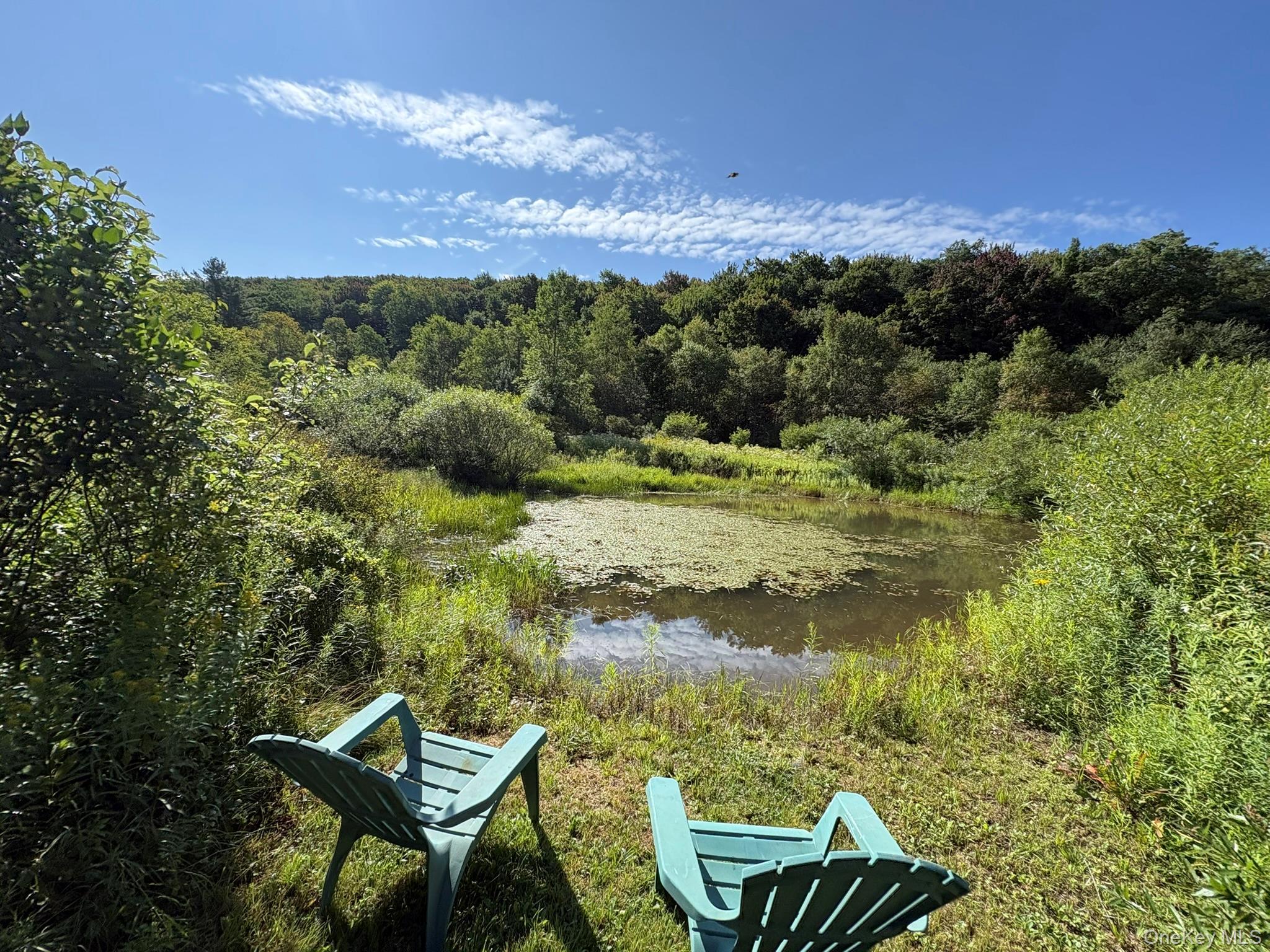 Single Family Campbell Brook Road Delaware County, NY 13755, MLS-1040062-36
