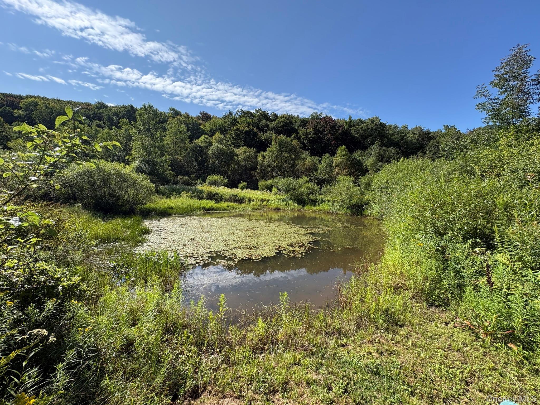 Single Family Campbell Brook Road Delaware County, NY 13755, MLS-1040062-40