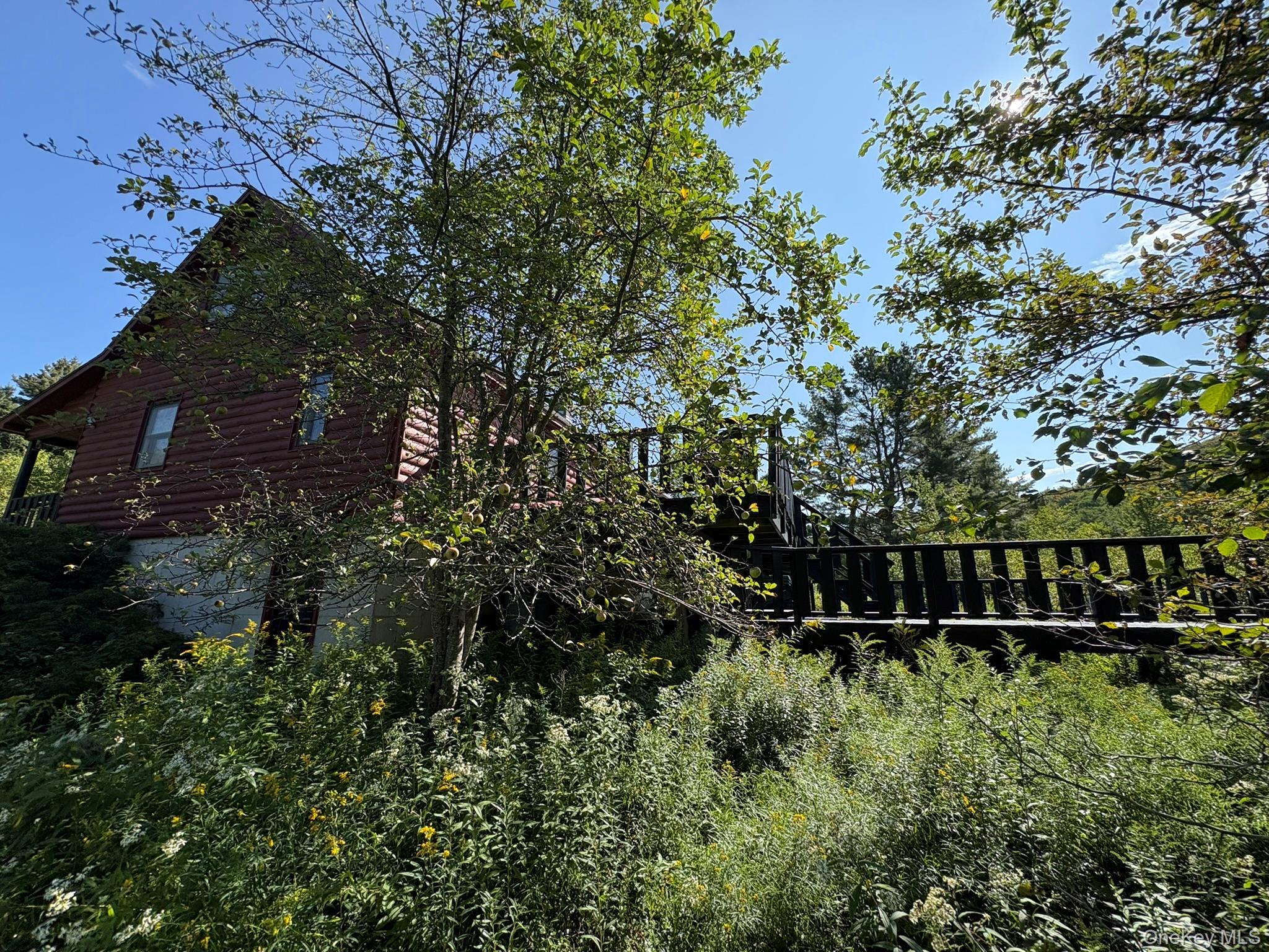 Single Family Campbell Brook Road  Delaware County, NY 13755, MLS-1040062-43