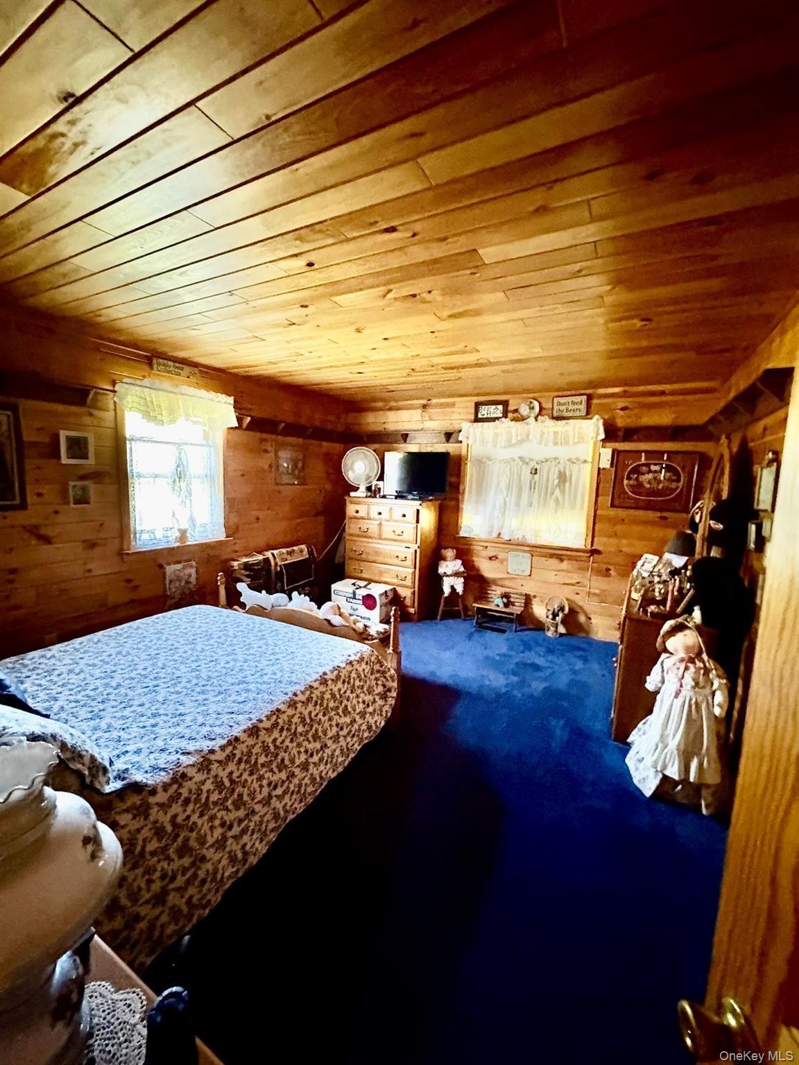 Single Family Campbell Brook Road Delaware County, NY 13755, MLS-1040062-9