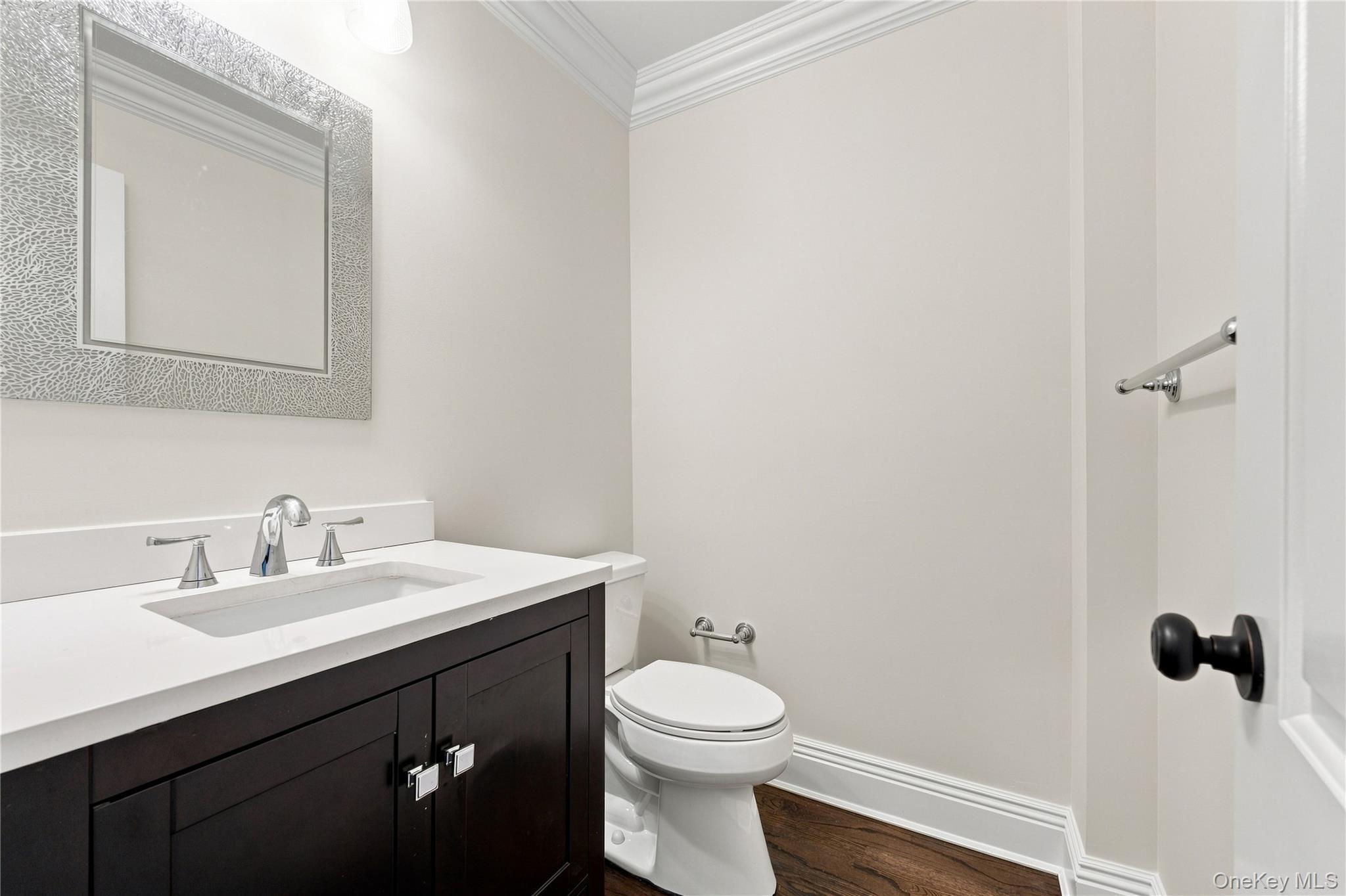 Single Family Forest Drive  Nassau County, NY 11753, MLS-1040122-26