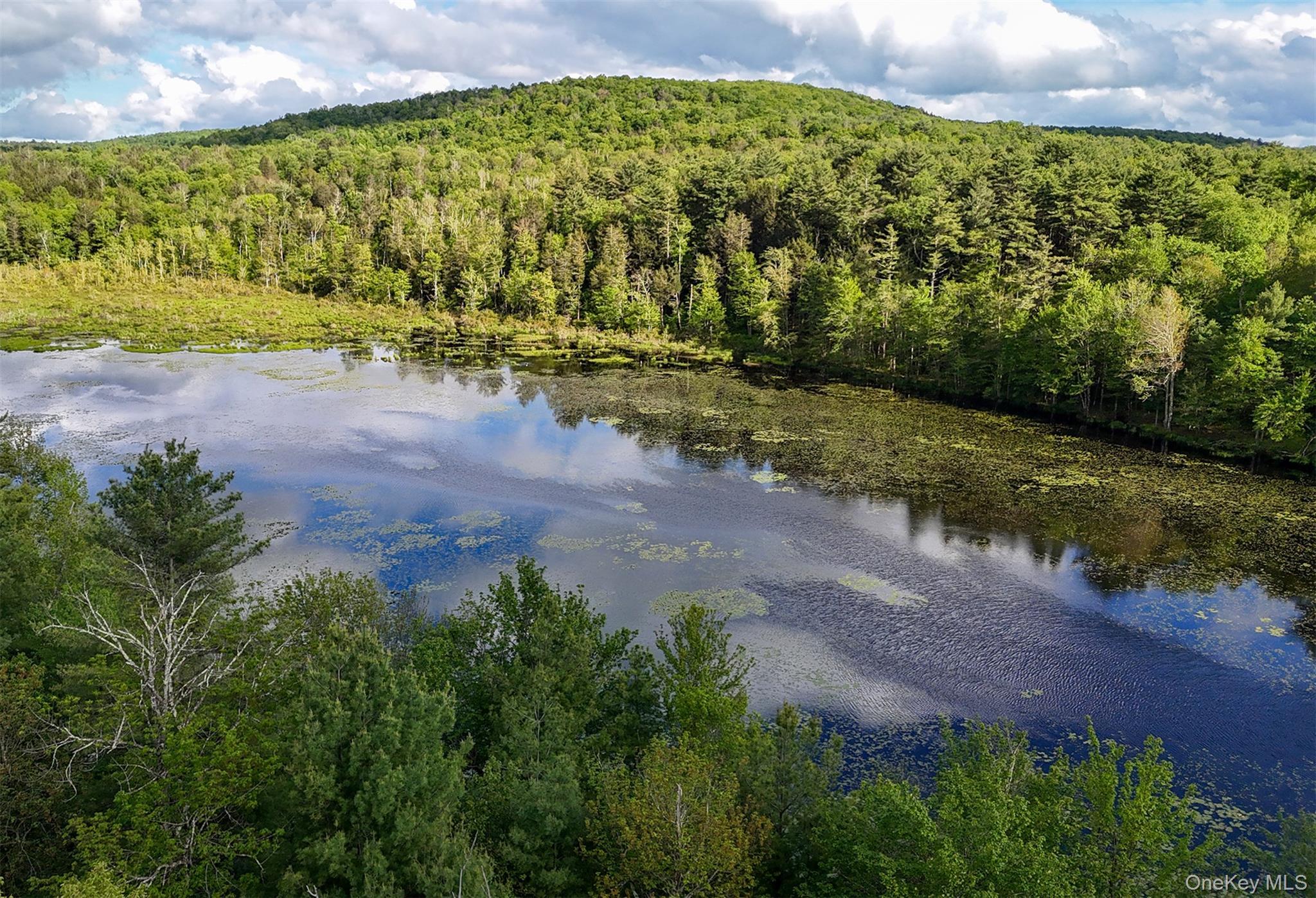 Single Family Water Lilly Lane Sullivan County, NY 12701, MLS-1040127-20