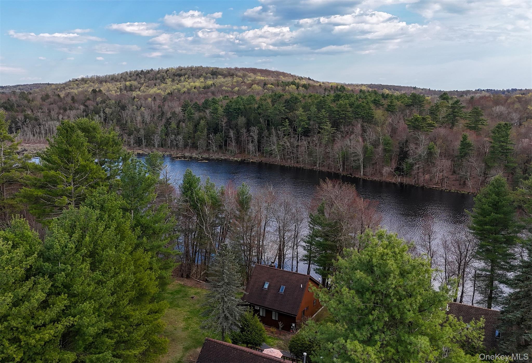 Single Family Water Lilly Lane  Sullivan County, NY 12701, MLS-1040127-21