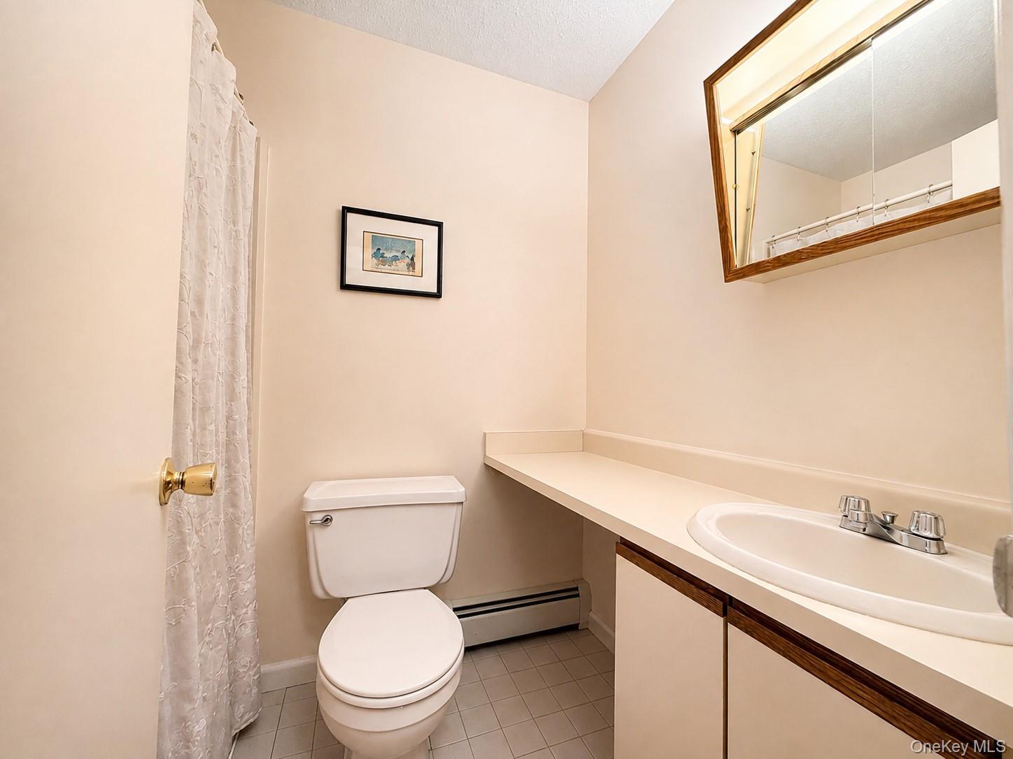 Single Family Water Lilly Lane Sullivan County, NY 12701, MLS-1040127-7