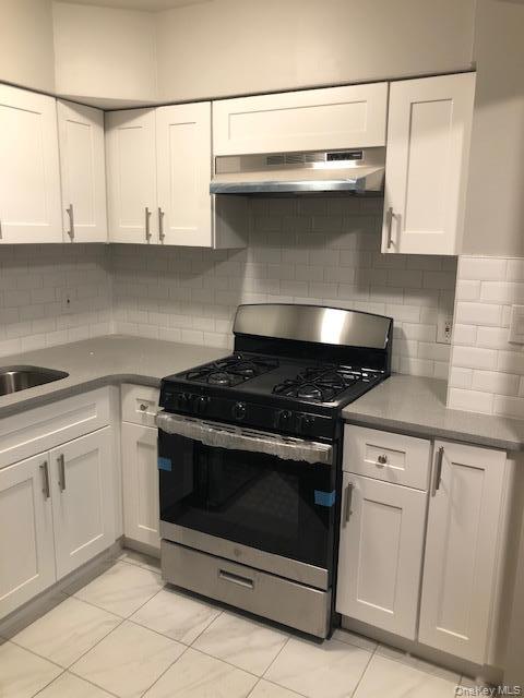 Single Family 31 Drive Queens, NY 11354, MLS-1040186-2