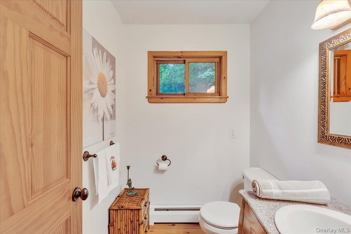 Single Family Bobillen Drive Greene County, NY 12444, MLS-1040225-28