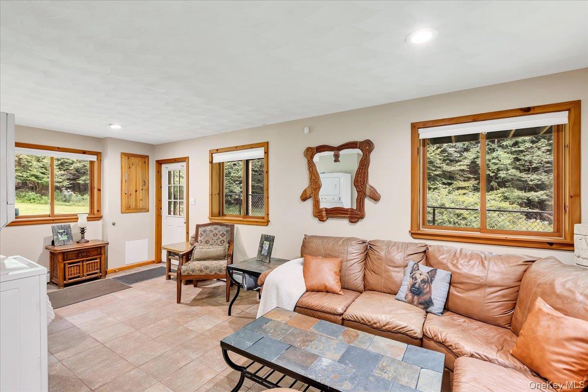 Single Family Bobillen Drive Greene County, NY 12444, MLS-1040225-35
