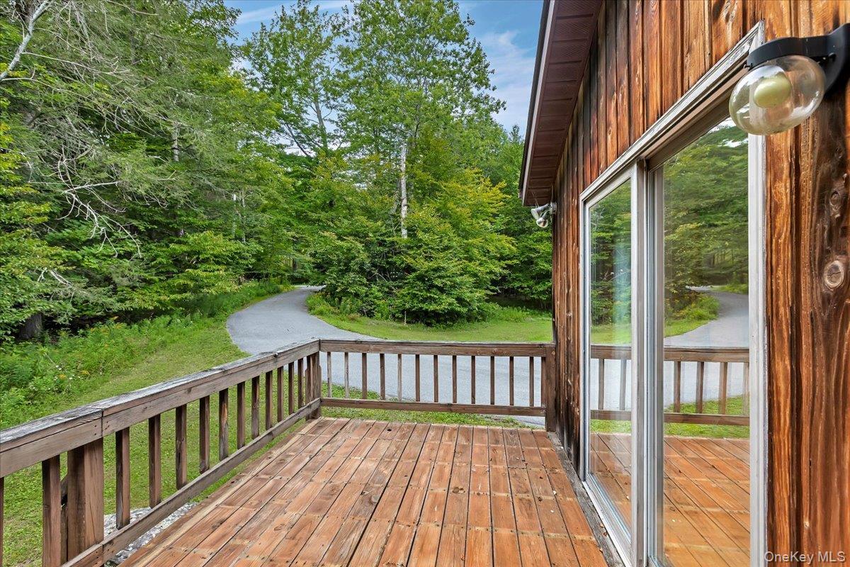 Single Family Bobillen Drive Greene County, NY 12444, MLS-1040225-41