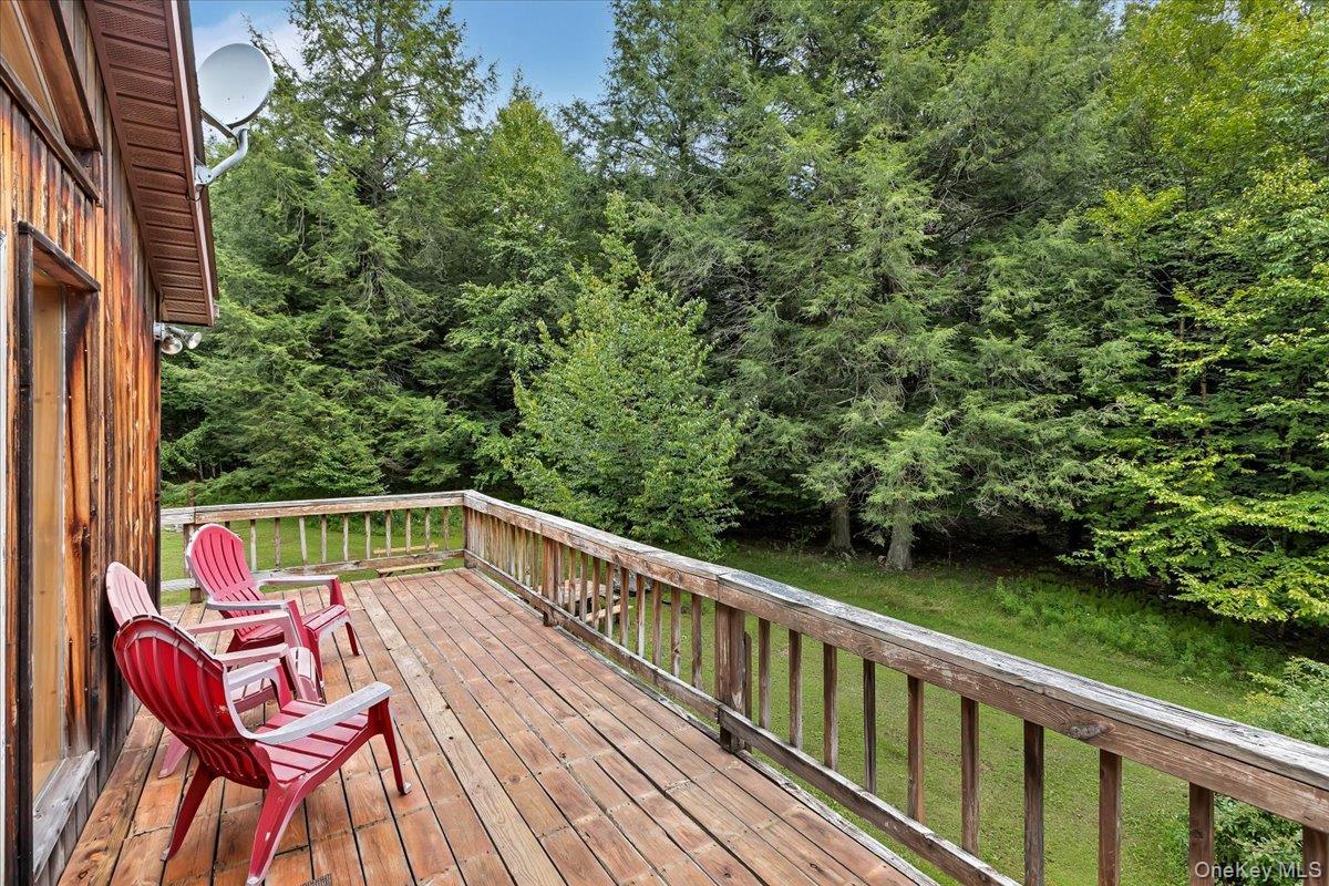 Single Family Bobillen Drive Greene County, NY 12444, MLS-1040225-44