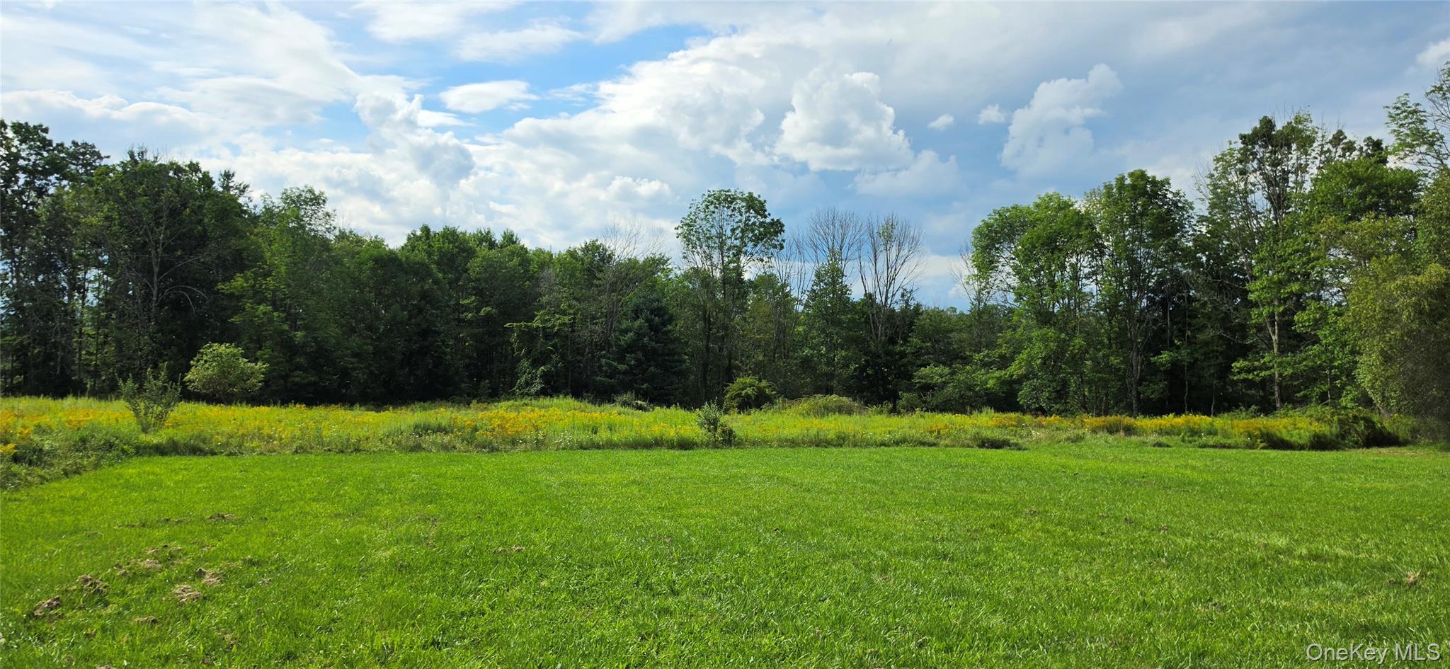 Single Family Gables Road Sullivan County, NY 12764, MLS-1040241-20