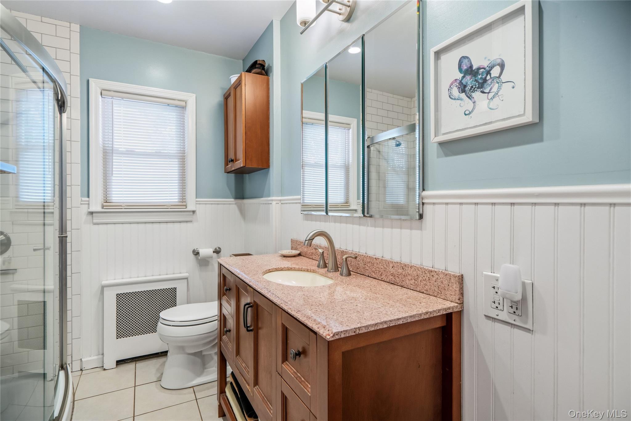 Single Family Alliance Street Nassau County, NY 11580, MLS-1040244-16
