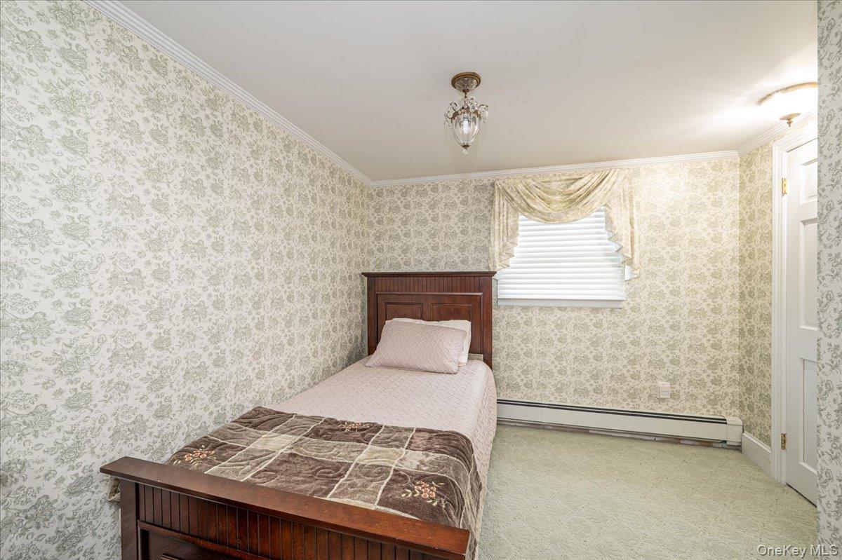 Single Family Albemarle Road Nassau County, NY 11590, MLS-1040255-27