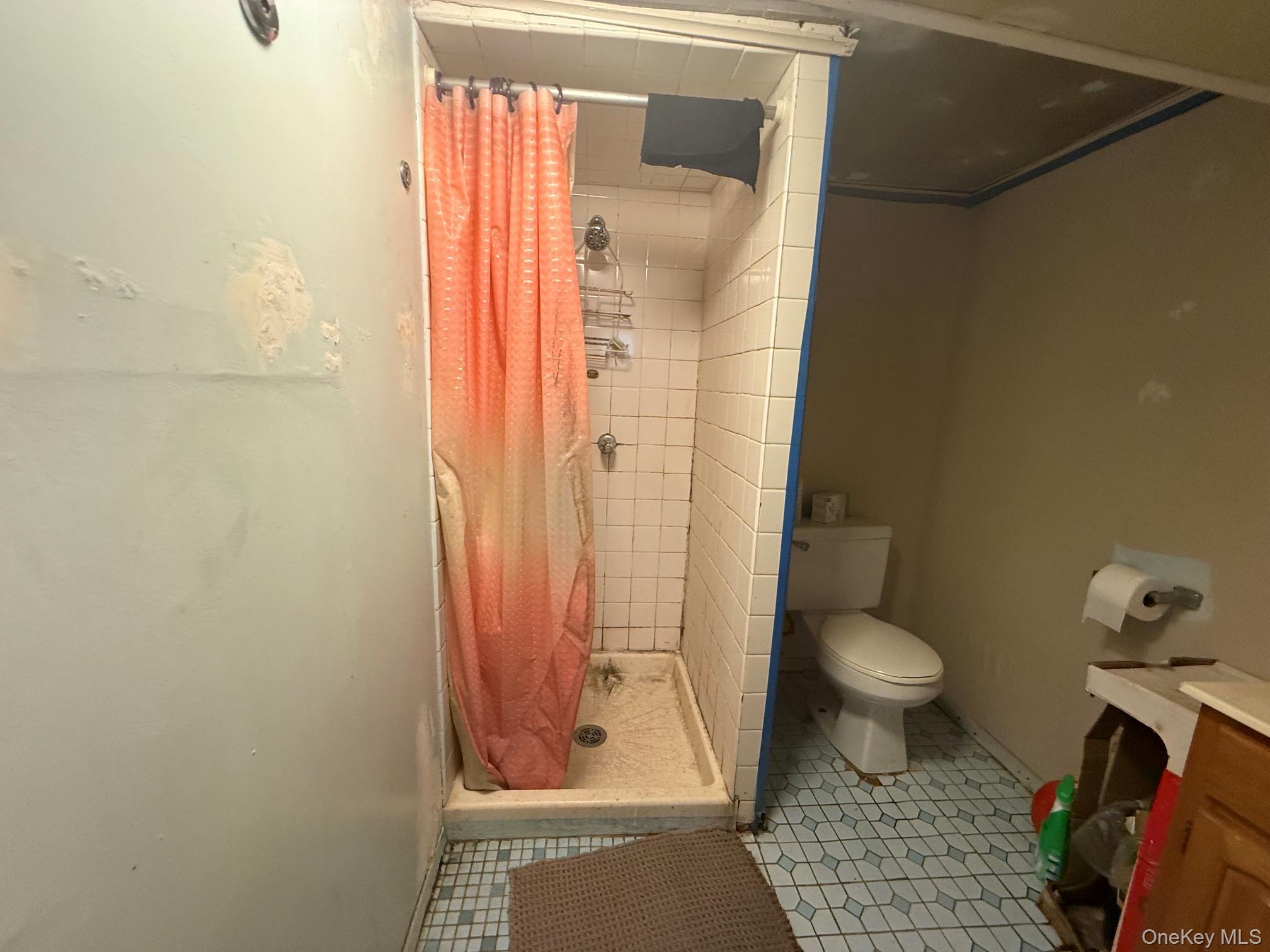 Single Family 220th Place Queens, NY 11413, MLS-1040272-15