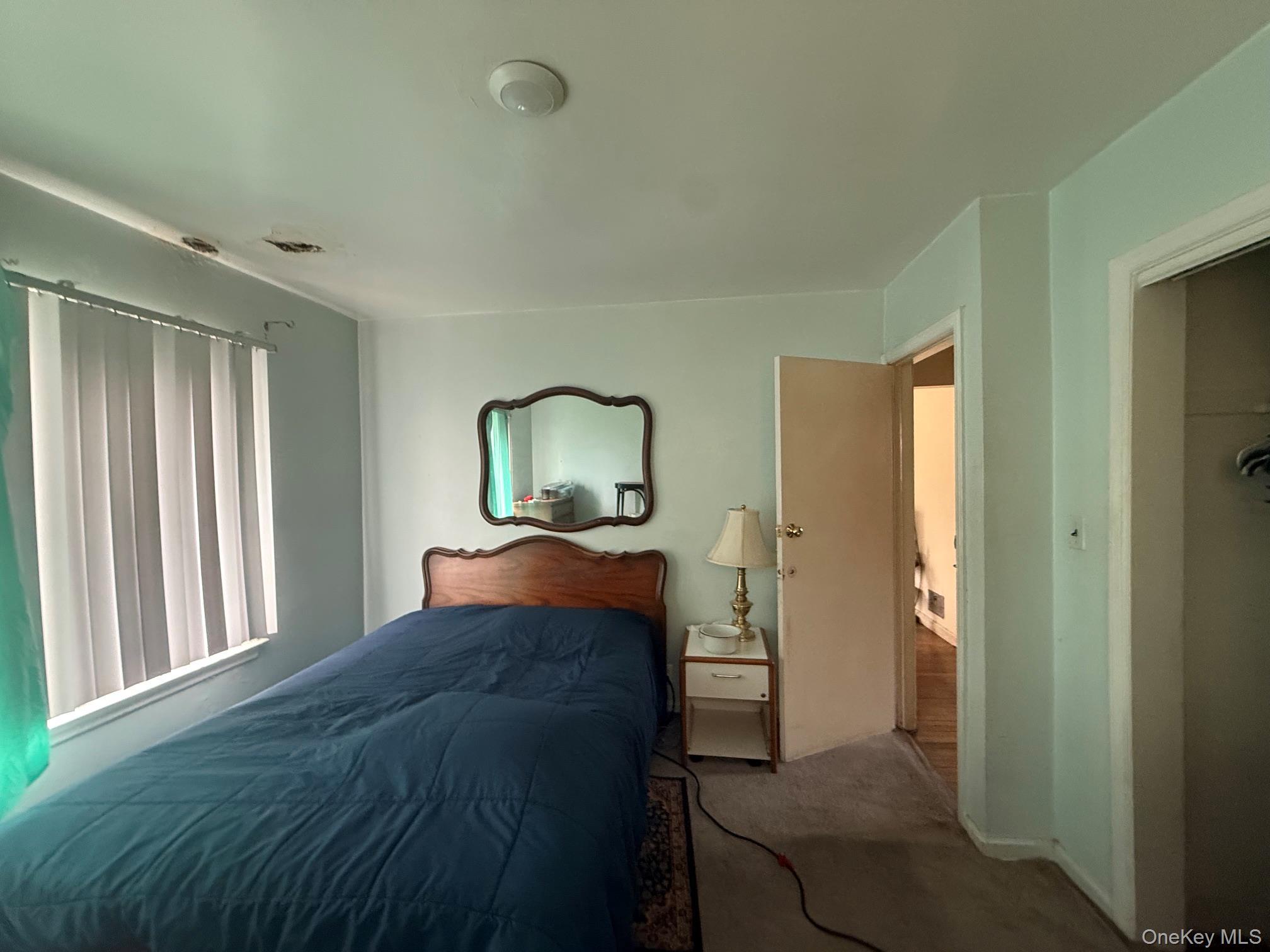 Single Family 220th Place Queens, NY 11413, MLS-1040272-9