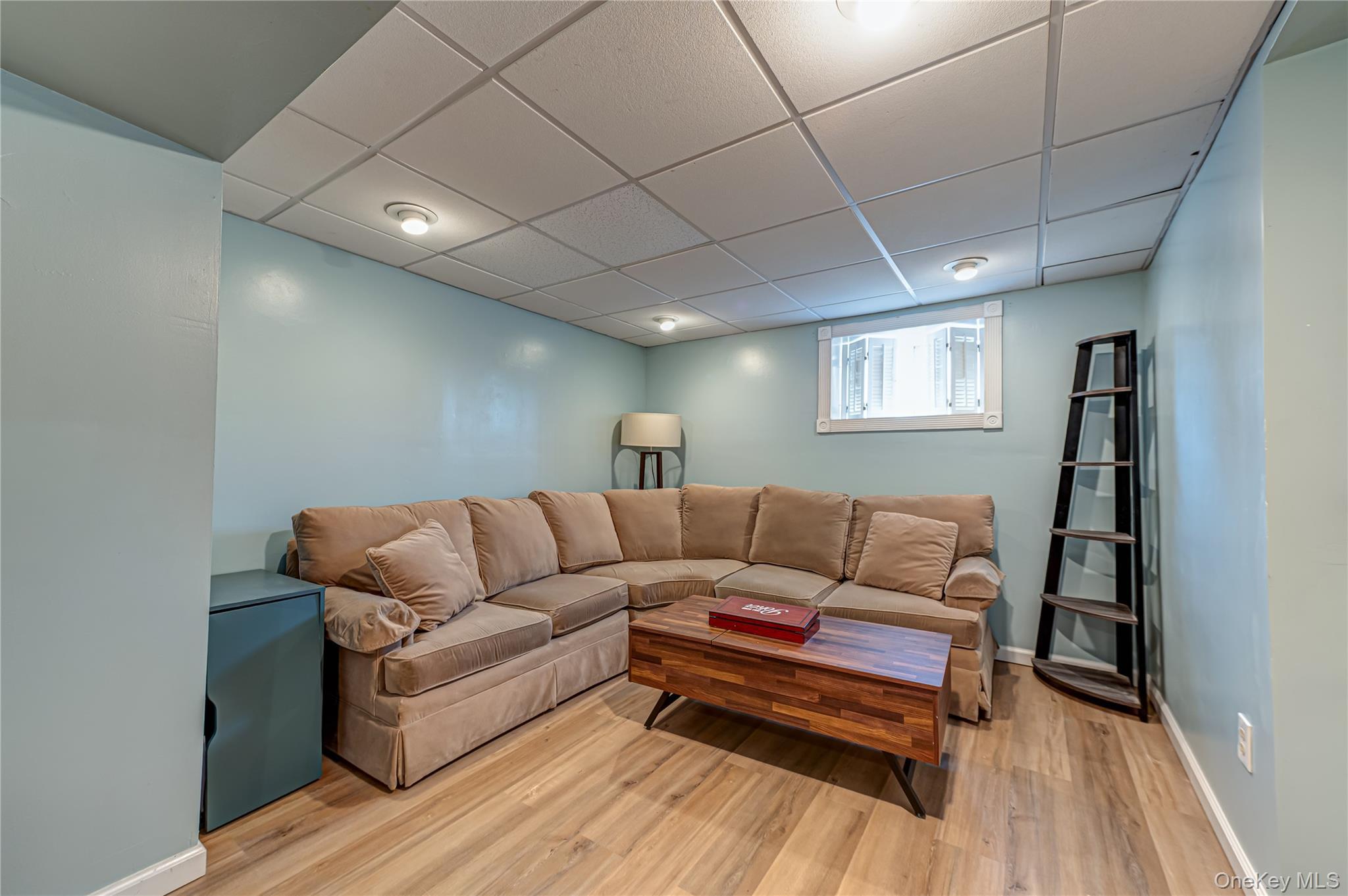 Single Family Linda Lane Suffolk County, NY 11703, MLS-1040337-19