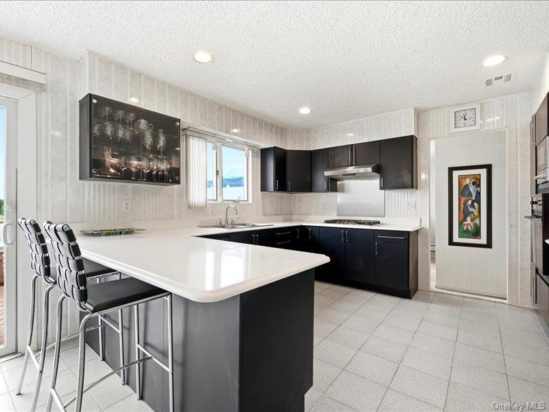 Single Family Whitewood Drive  Nassau County, NY 11762, MLS-1040353-13