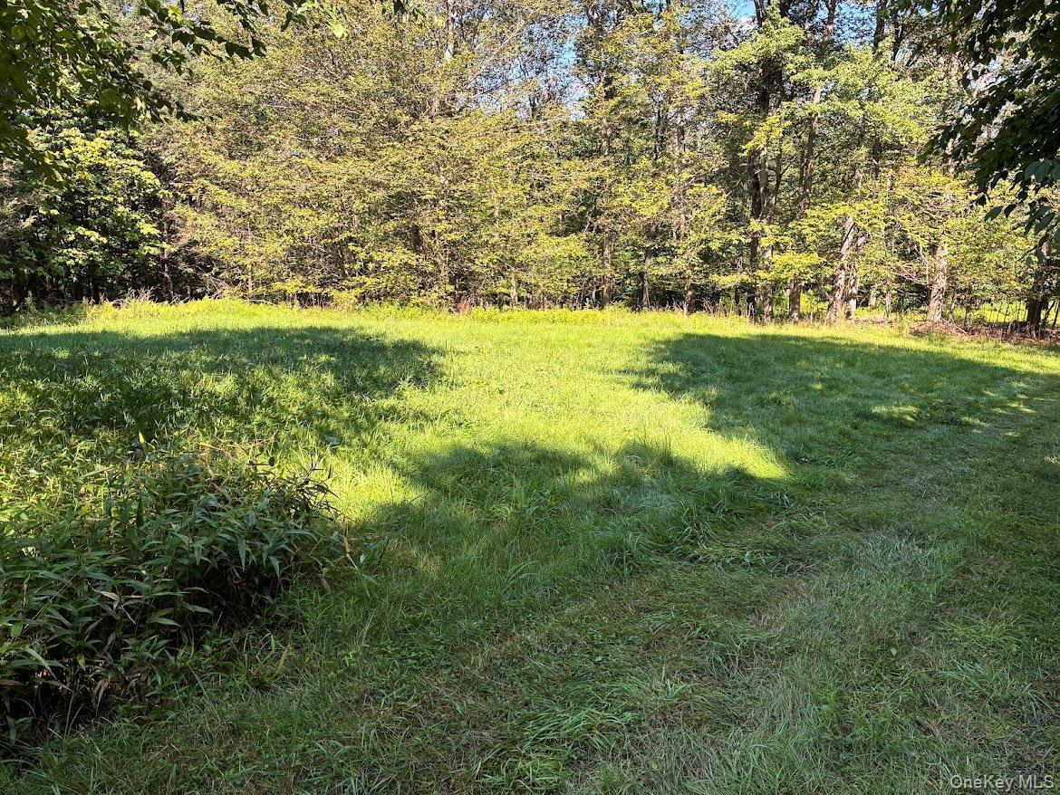 Single Family Bowers Road  Sullivan County, NY 12747, MLS-1040357-7