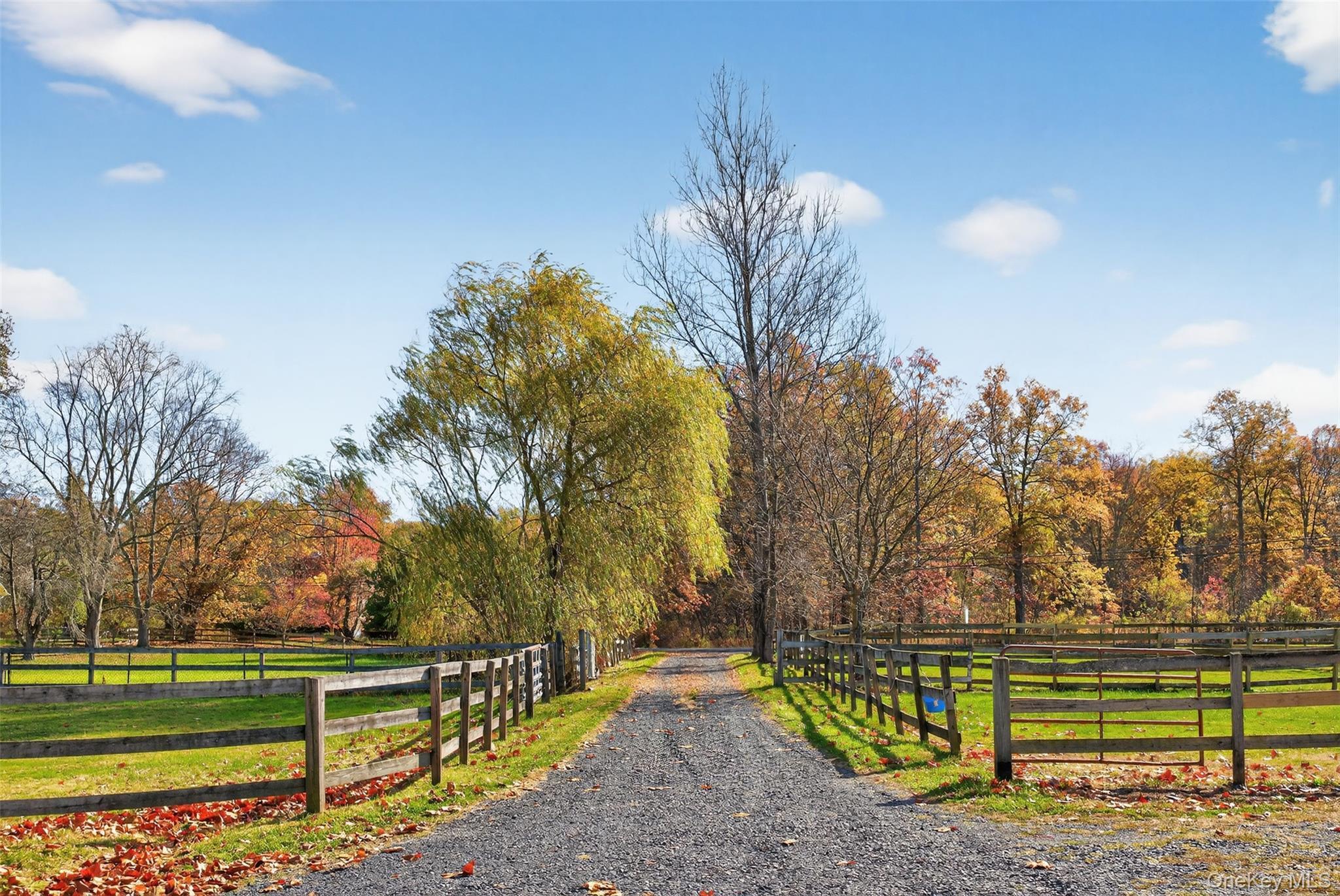 Single Family Dusinberre Road Ulster County, NY 12525, MLS-1040359-2