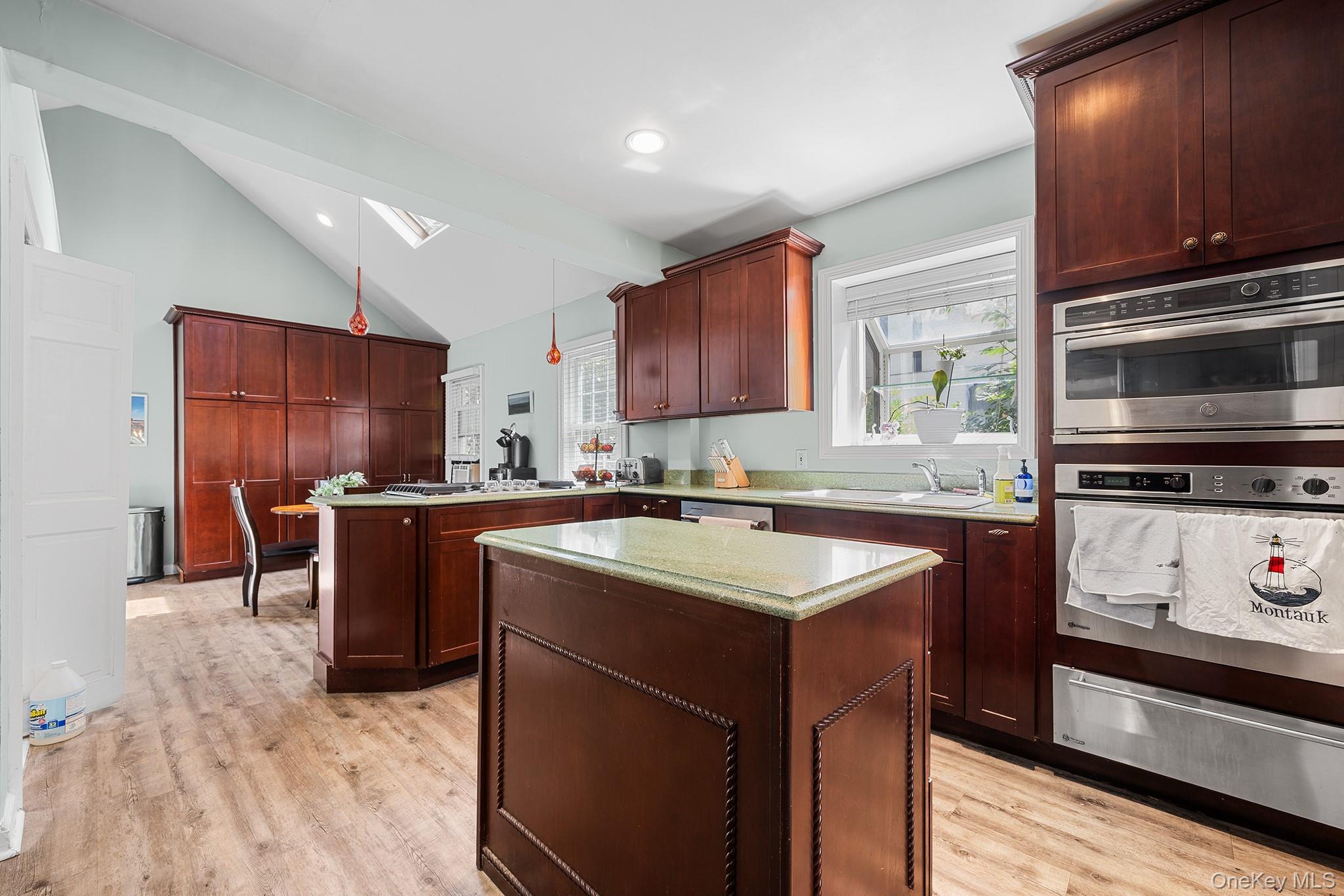 Single Family Demott Avenue Nassau County, NY 11570, MLS-1040367-14