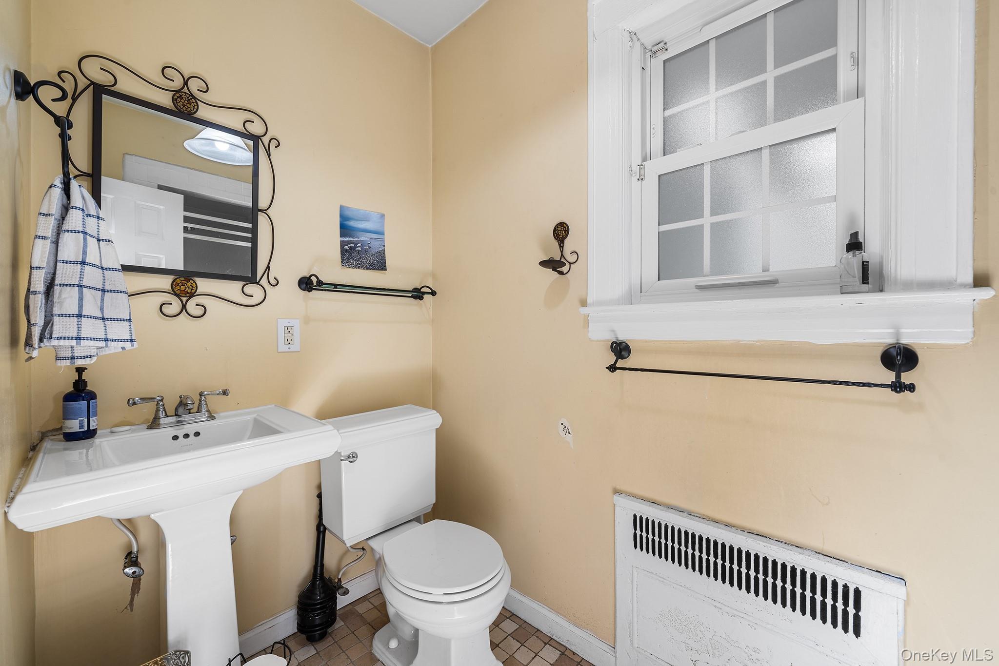 Single Family Demott Avenue Nassau County, NY 11570, MLS-1040367-18
