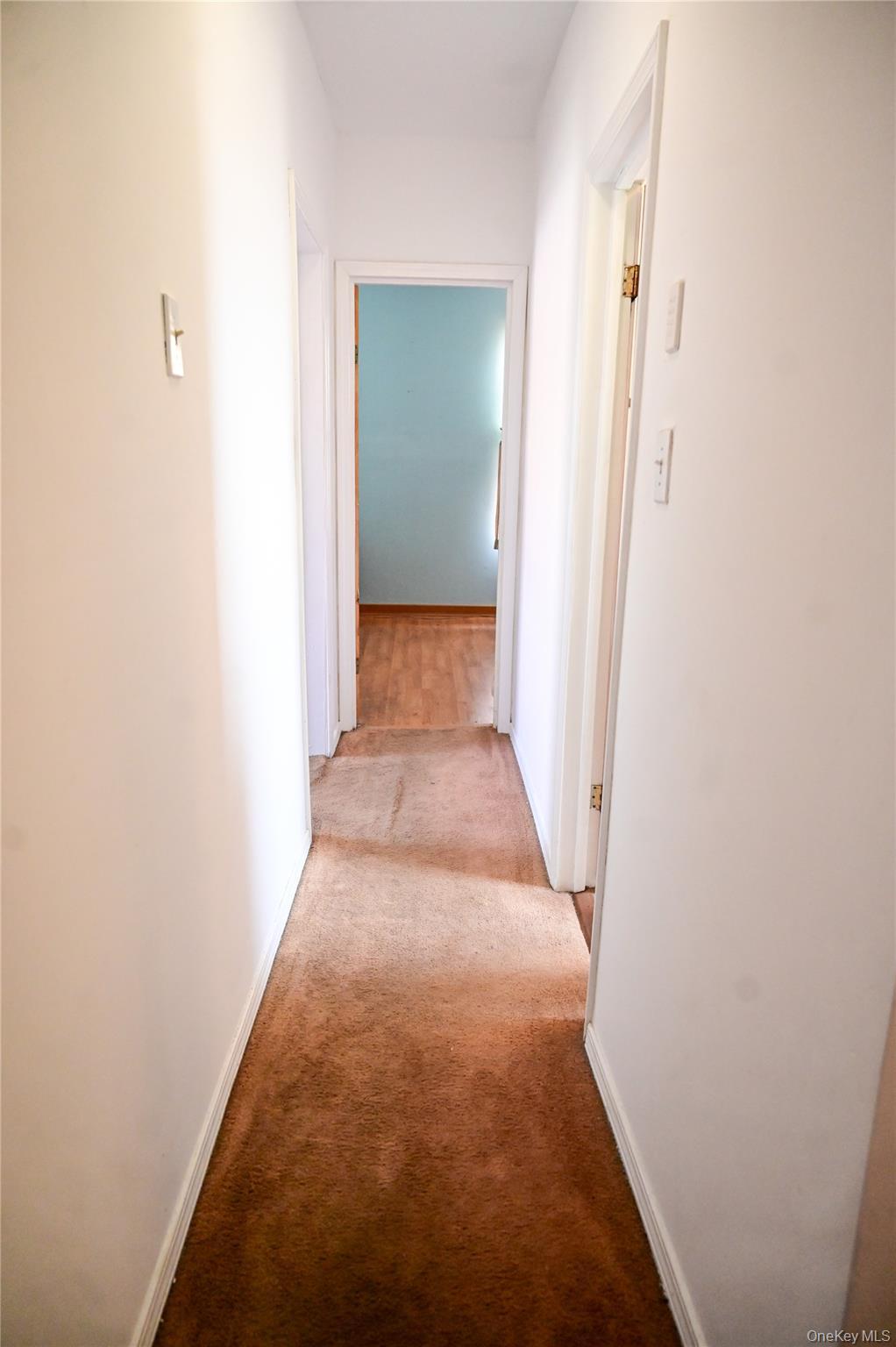 Single Family 111th Avenue Queens, NY 11433, MLS-1040418-9