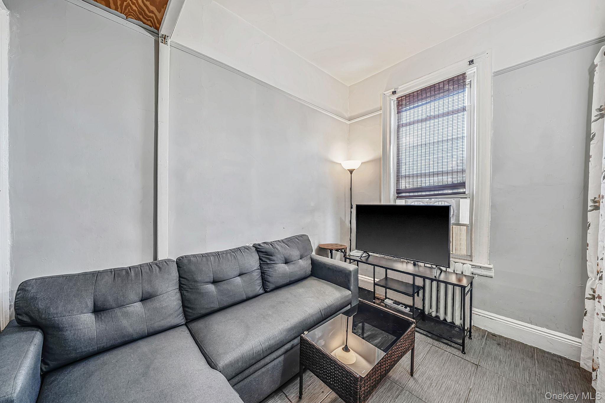Single Family Autumn Avenue  Brooklyn, NY 11208, MLS-1040435-29