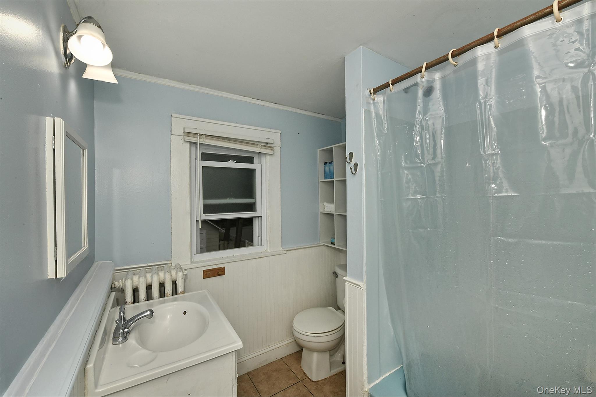 Single Family Olive Street  Suffolk County, NY 11746, MLS-1040449-10