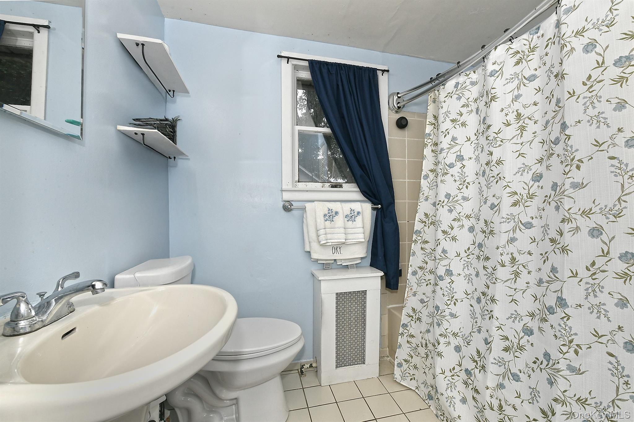 Single Family Olive Street  Suffolk County, NY 11746, MLS-1040449-6